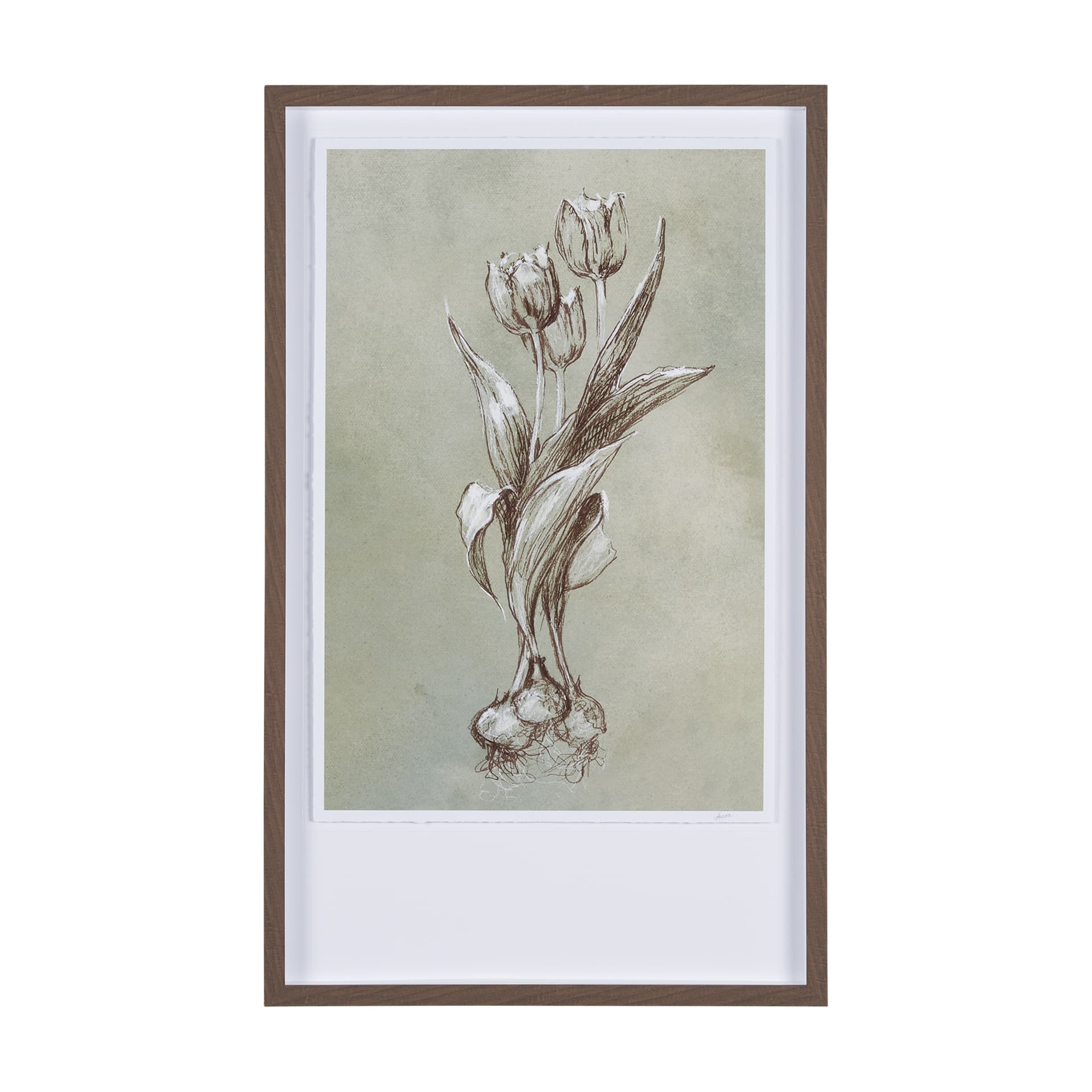 Botanical Sketch I (green) by Mercana Studio Hand Embellished Framed Art Print Matted under Glass — product photograph