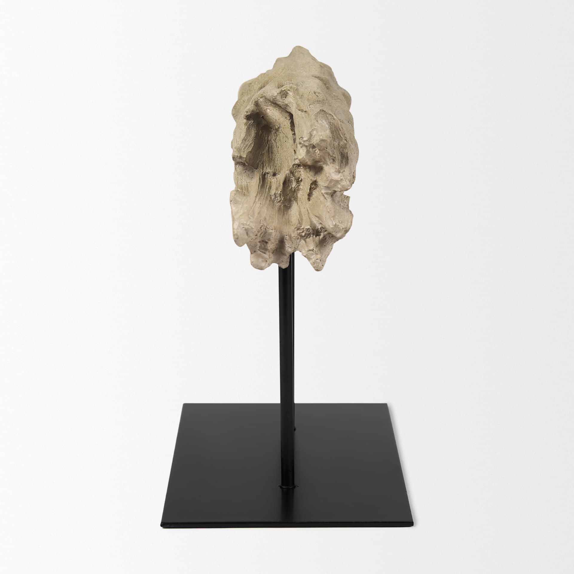 Dwell Cholla Wood Resin Decorative Object — product photograph
