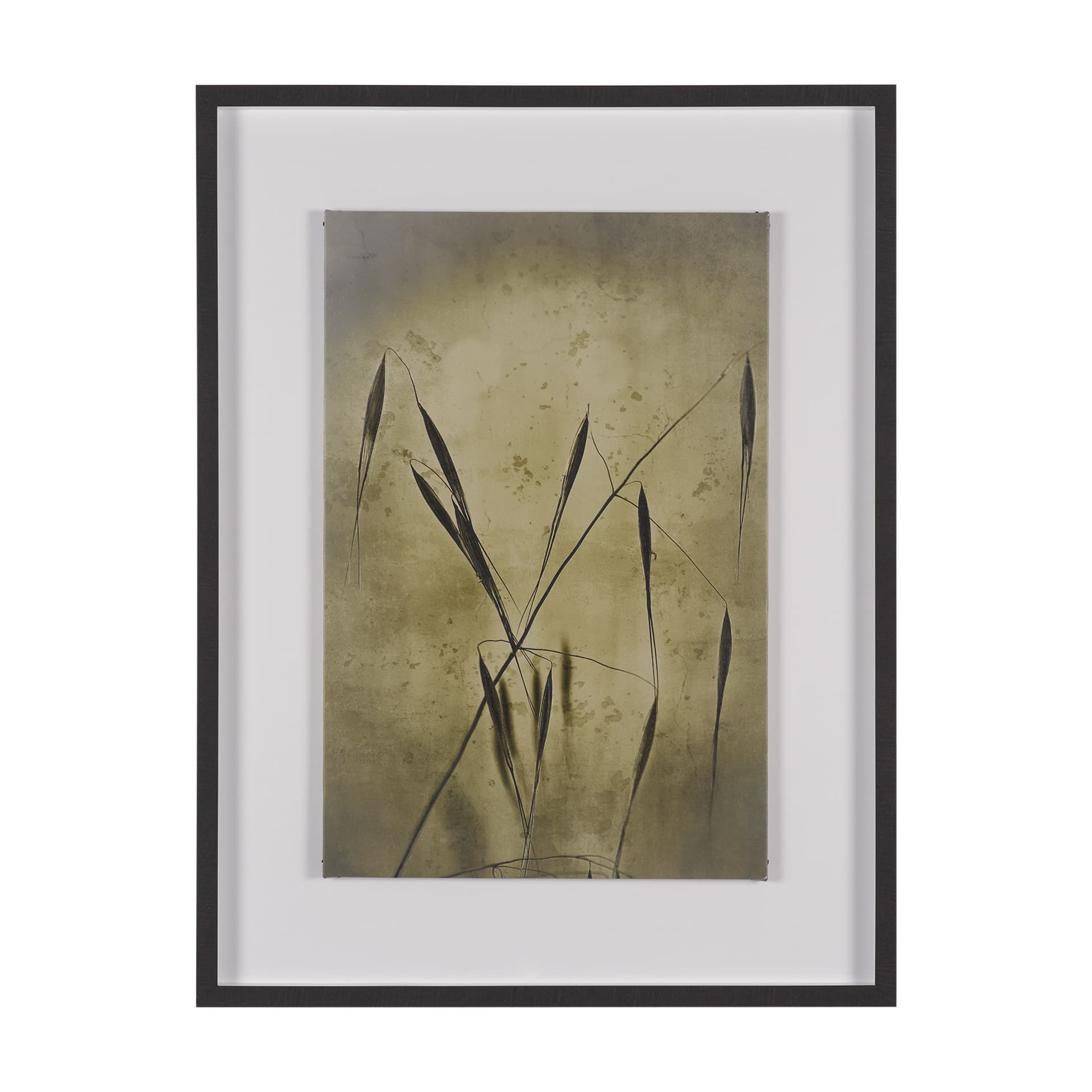Botany Blades by Michael Banks a Hand Embellished Framed Photo Art Print Matted under Glass — product photograph