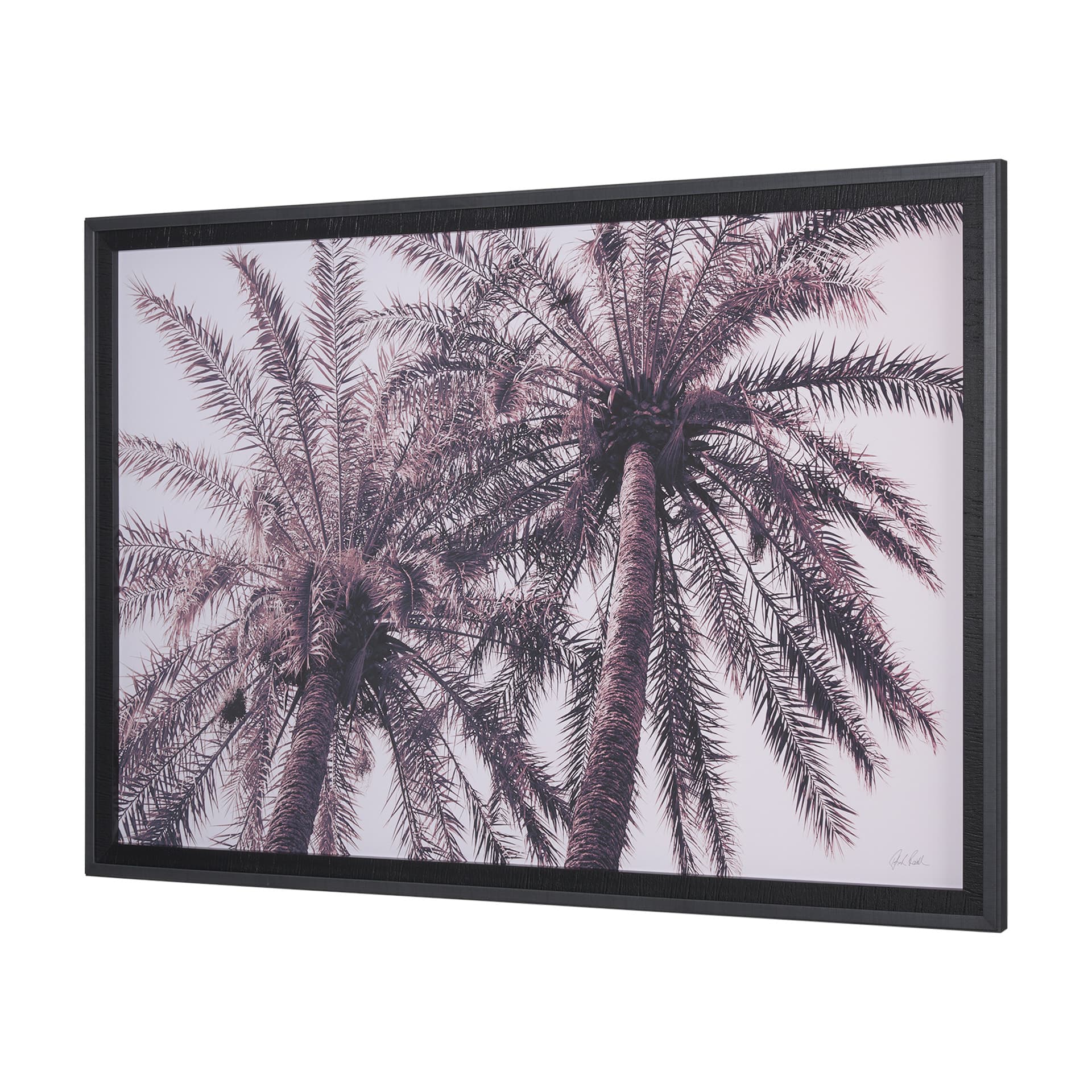 Pink Palms Horizontal by Deborah Revell a Framed Photo Art Print Matted under Glass — product photograph