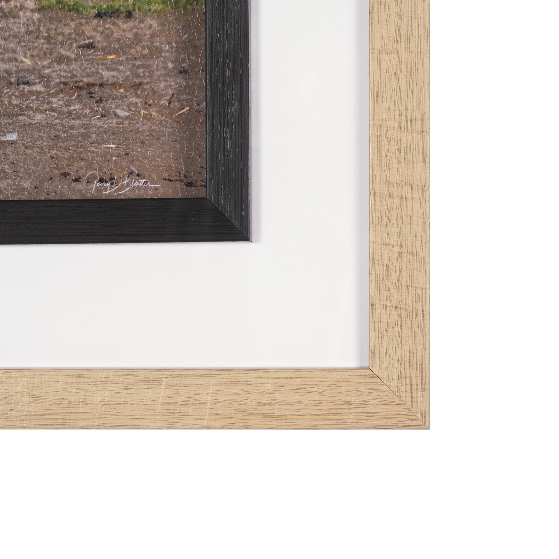 Longhorn 1 by Gary Blatter a Hand Embellished Framed Photo Art Print Matted under Glass — product photograph