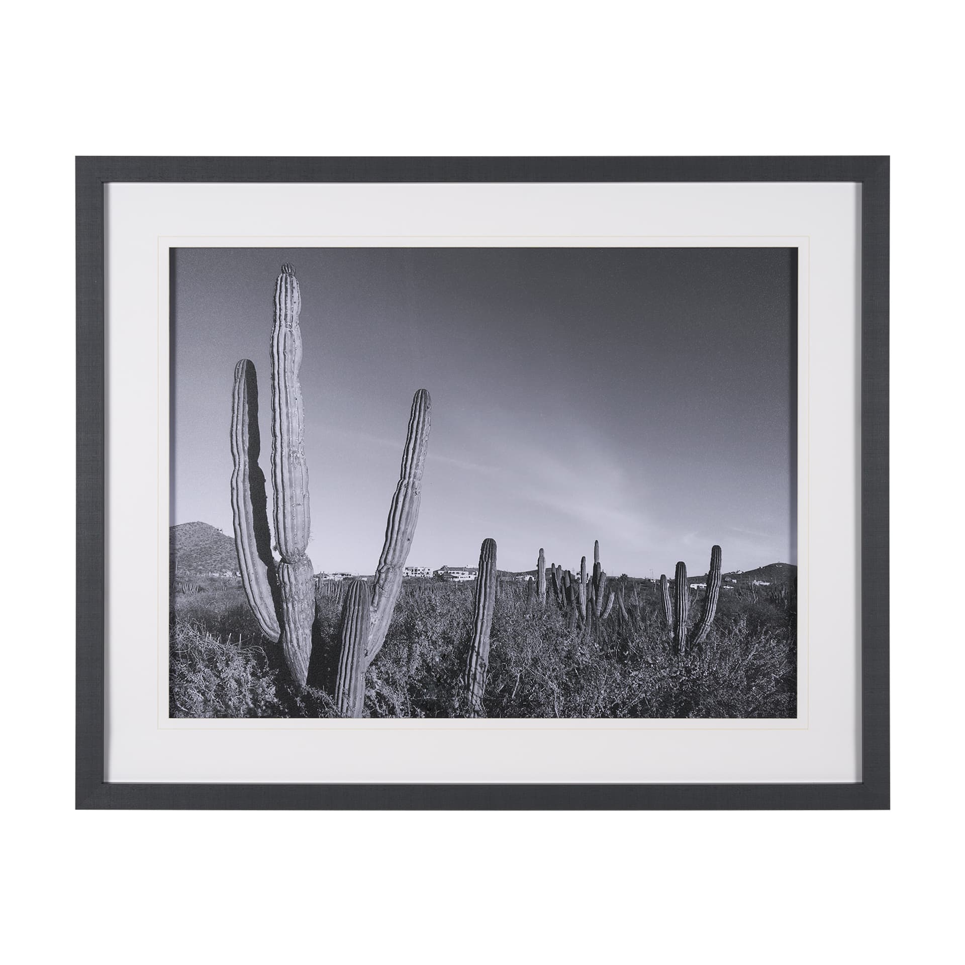 On The Ranch Cactus I by Norm Stelfox Hand Embelished Textured Framed Photo Art Print Matted under G — product photograph