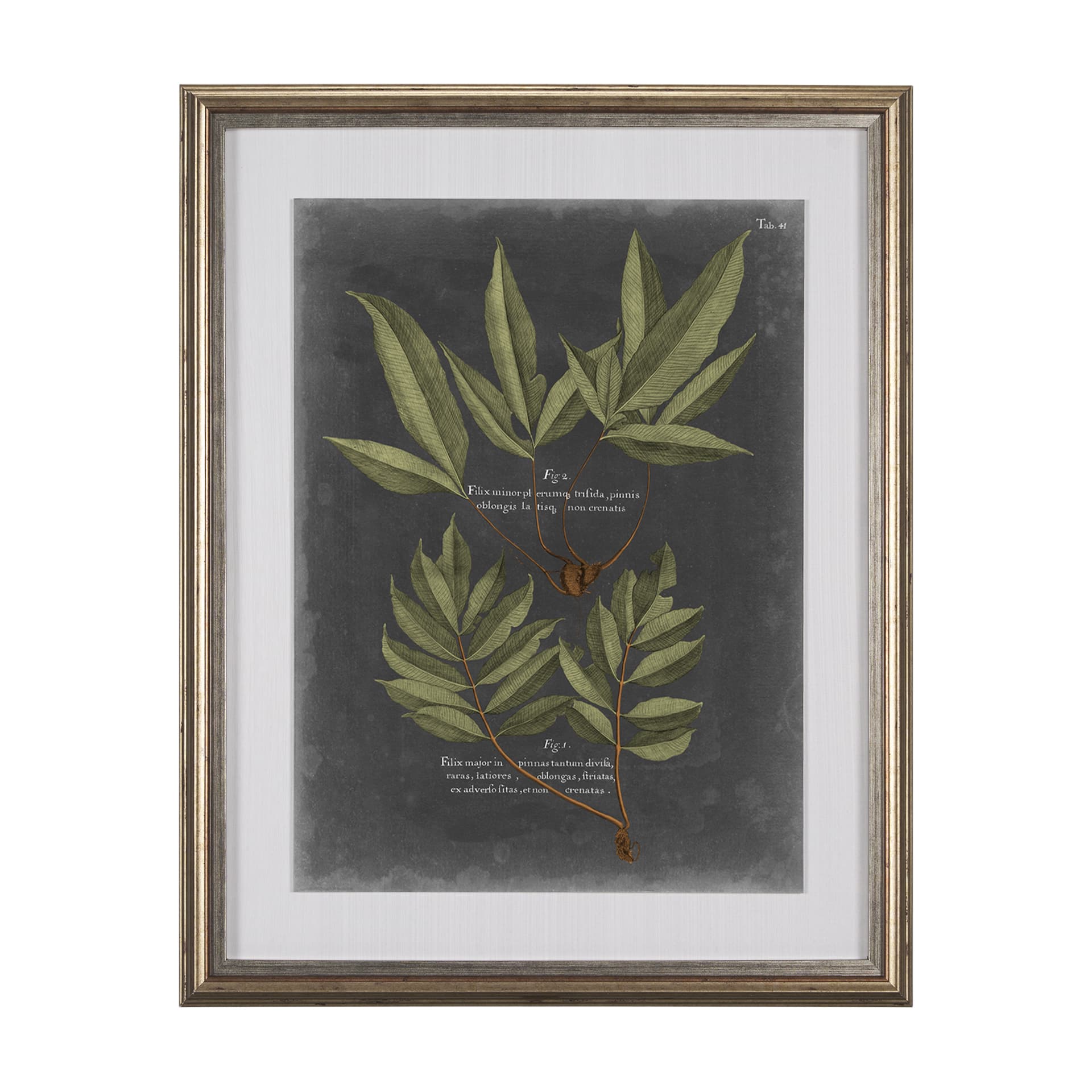 Foliage Dramatique IV by Vision Studio Hand Embellished Textured Framed Art Print Matted under Glass — product photograph