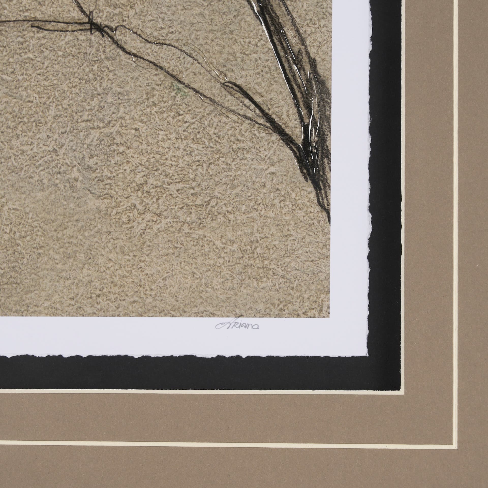 Black Chokecherry 2 by Mercana Studio a Hand Embellished Framed Art Print Matted under Glass — product photograph