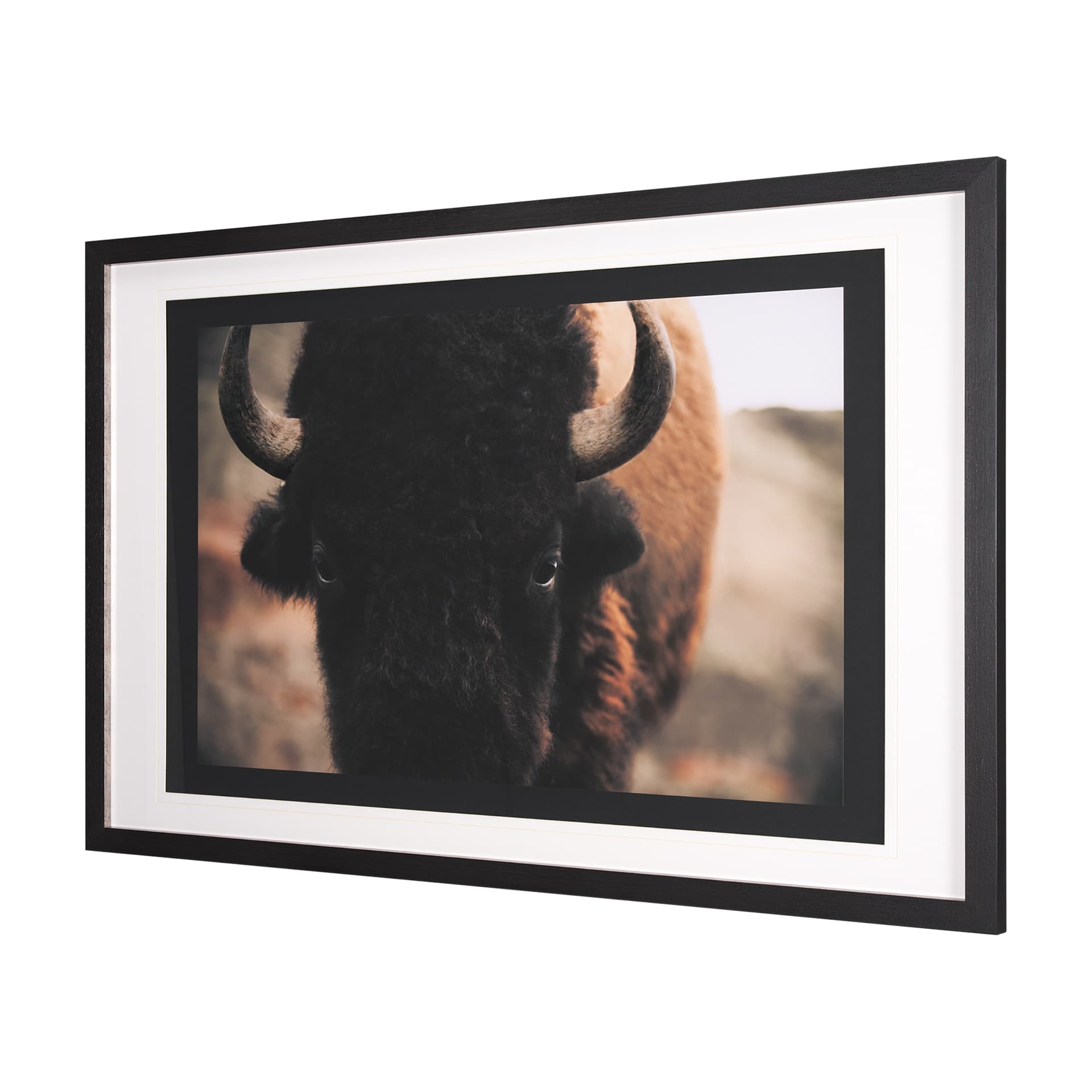 Stare Down by Chad Mackay a Hand Embelished Textured Framed Photo Art Print Matted under Glass — product photograph