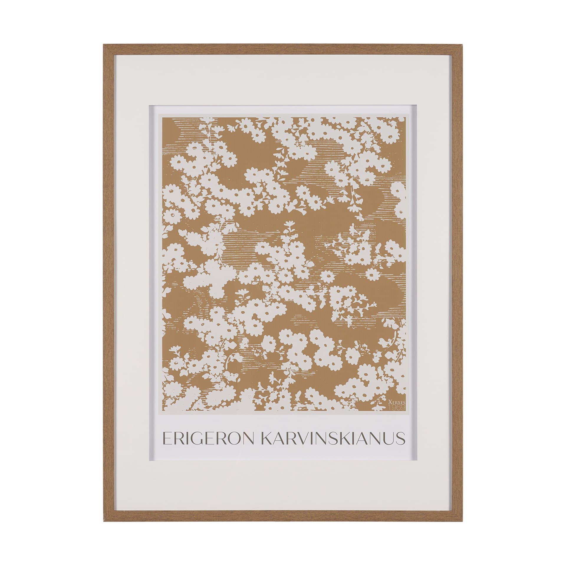 Belleza En Flores II by Mercana Studio a Framed Art Print Matted under Glass — product photograph