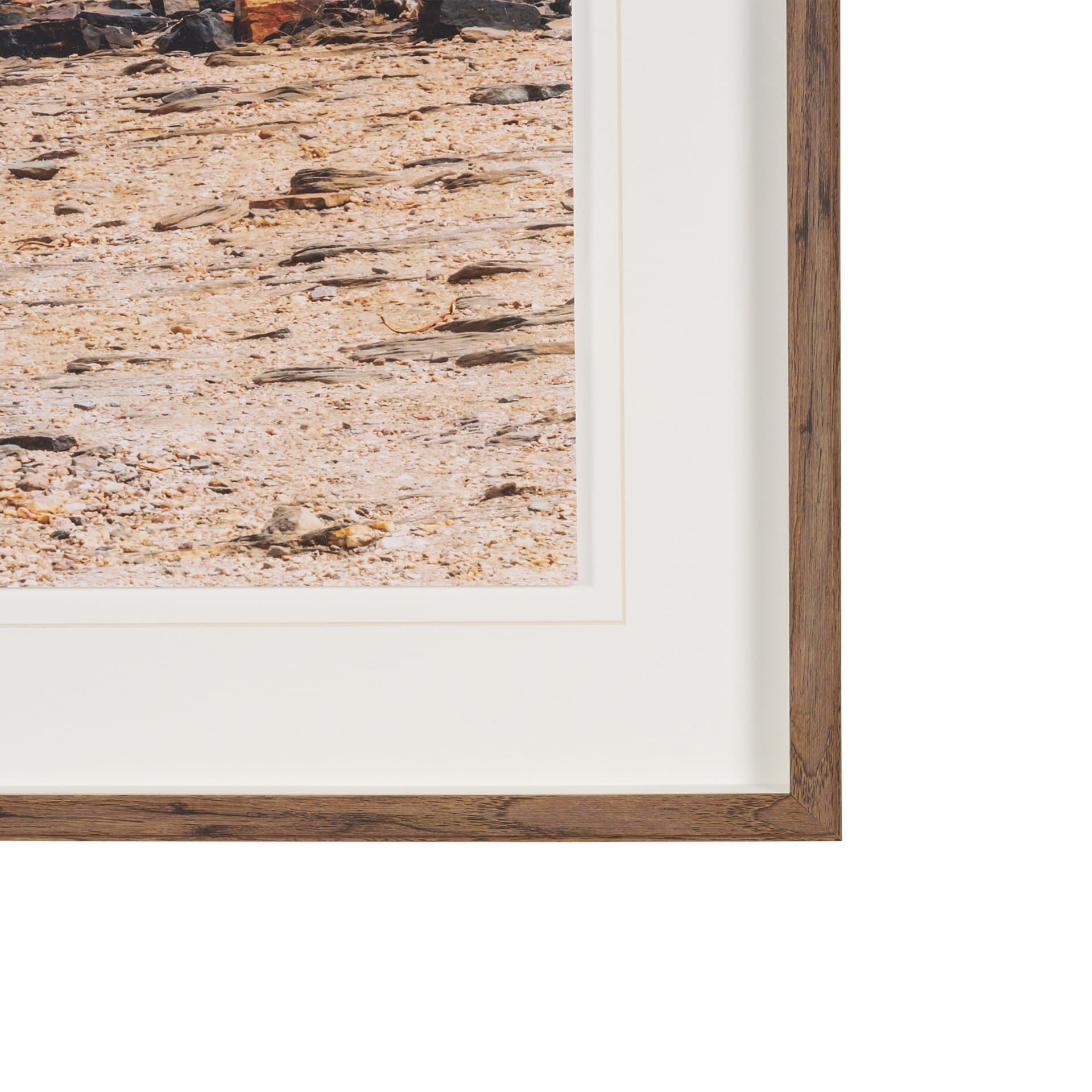 Namibia Tree in Desert by Richard Silver Textured Framed Photo Print Matted under Glass — product photograph