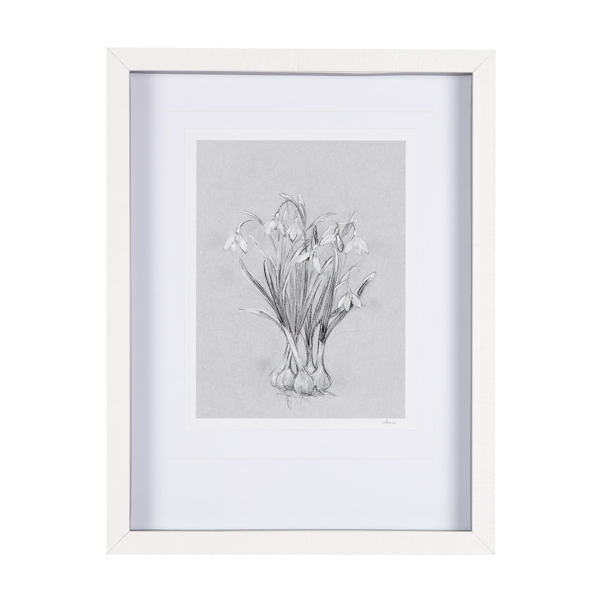 Botanical sketches VI (Grey) by Mercana Studio Hand Embellished Framed Art Print Matted under Glass — product photograph
