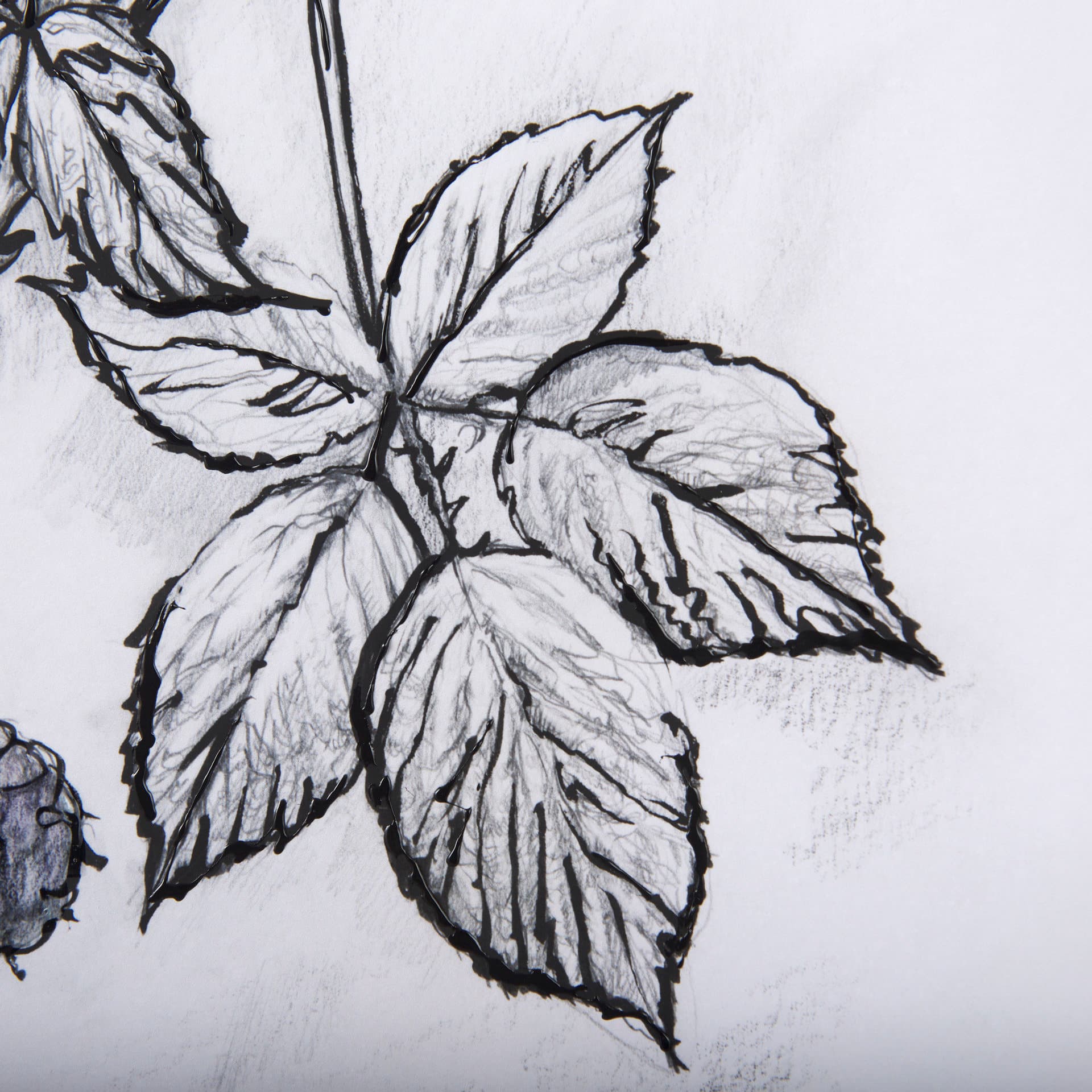 WildBerry Collection Blackberry Mercana Studio Hand Embellished Framed Art Print Matted under Glass — product photograph