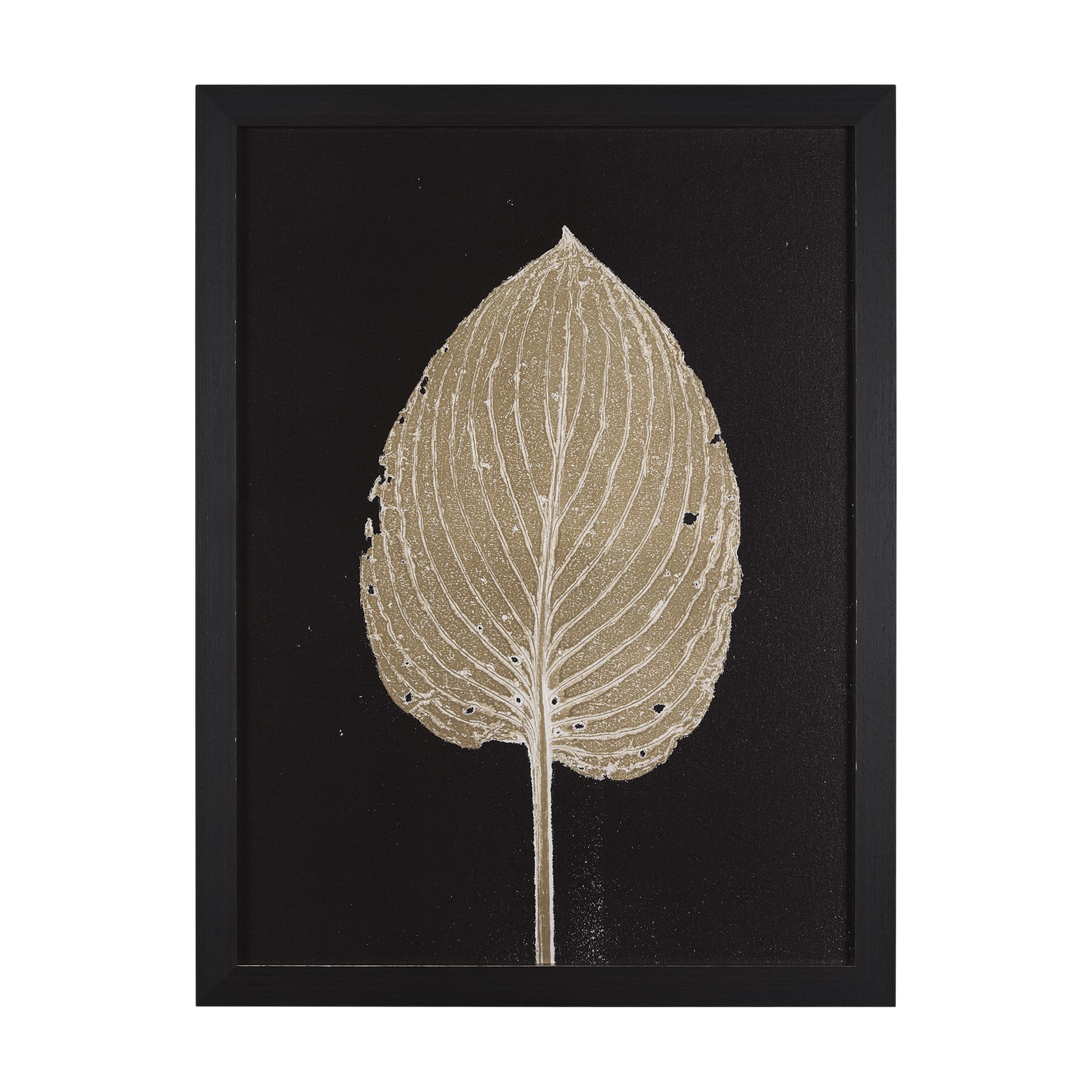 Hosta C by Mary Margaret Briggs a Hand Embelished Textured Framed Art Print — product photograph