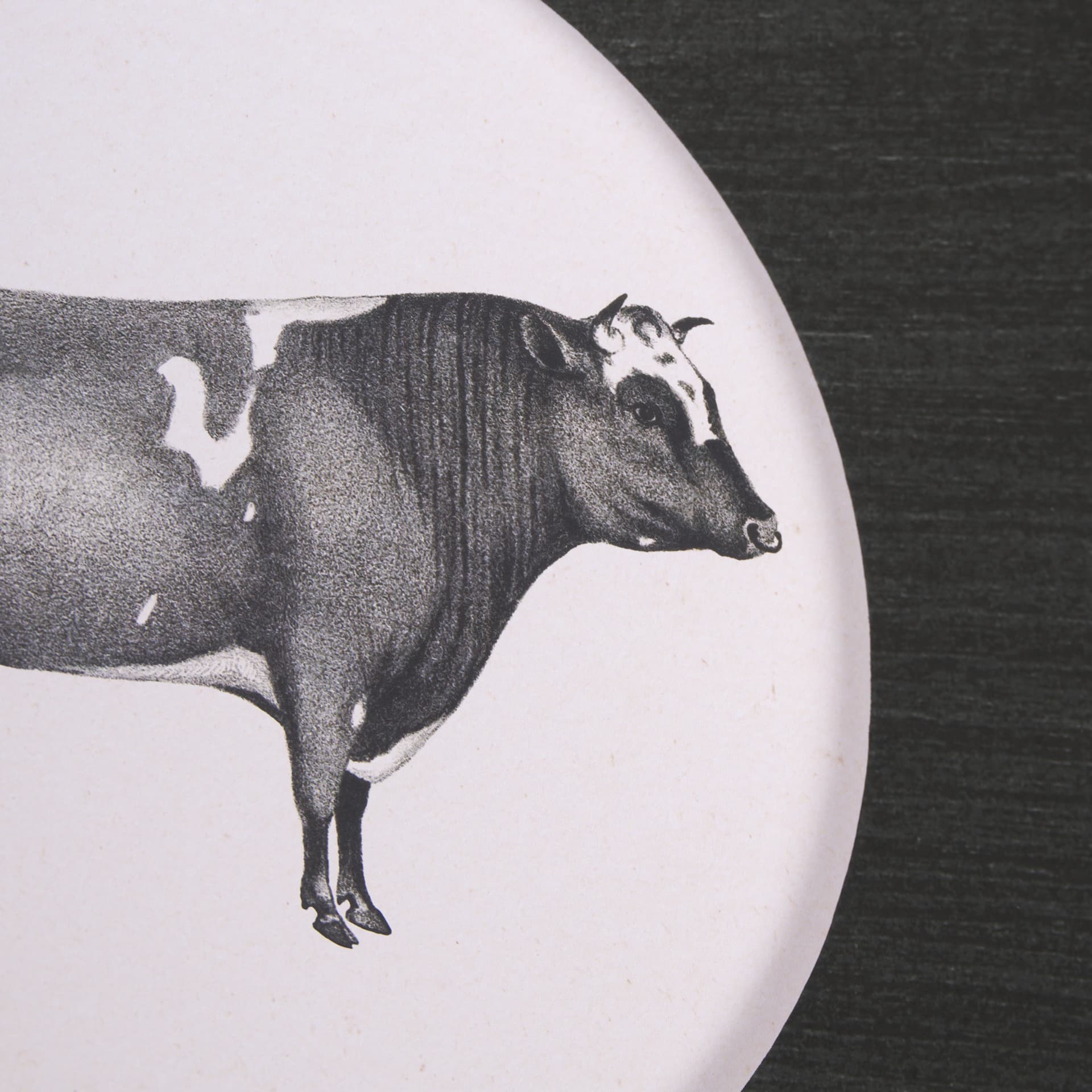 Down On The Farm I by Wild Apple Portfolio a Framed Art Print Matted under Glass — product photograph