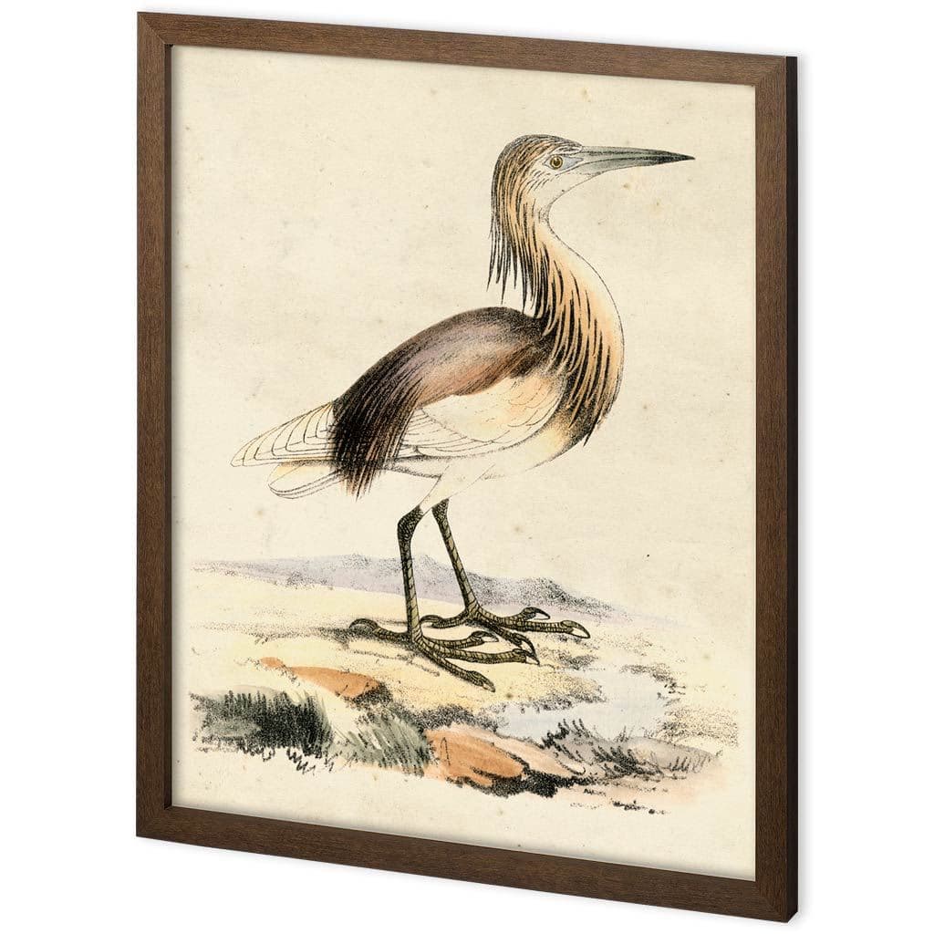 Custom Antique Heron I by Ferdos Maleki a Hand Embellished Textured Framed Decograph Art Print — product photograph