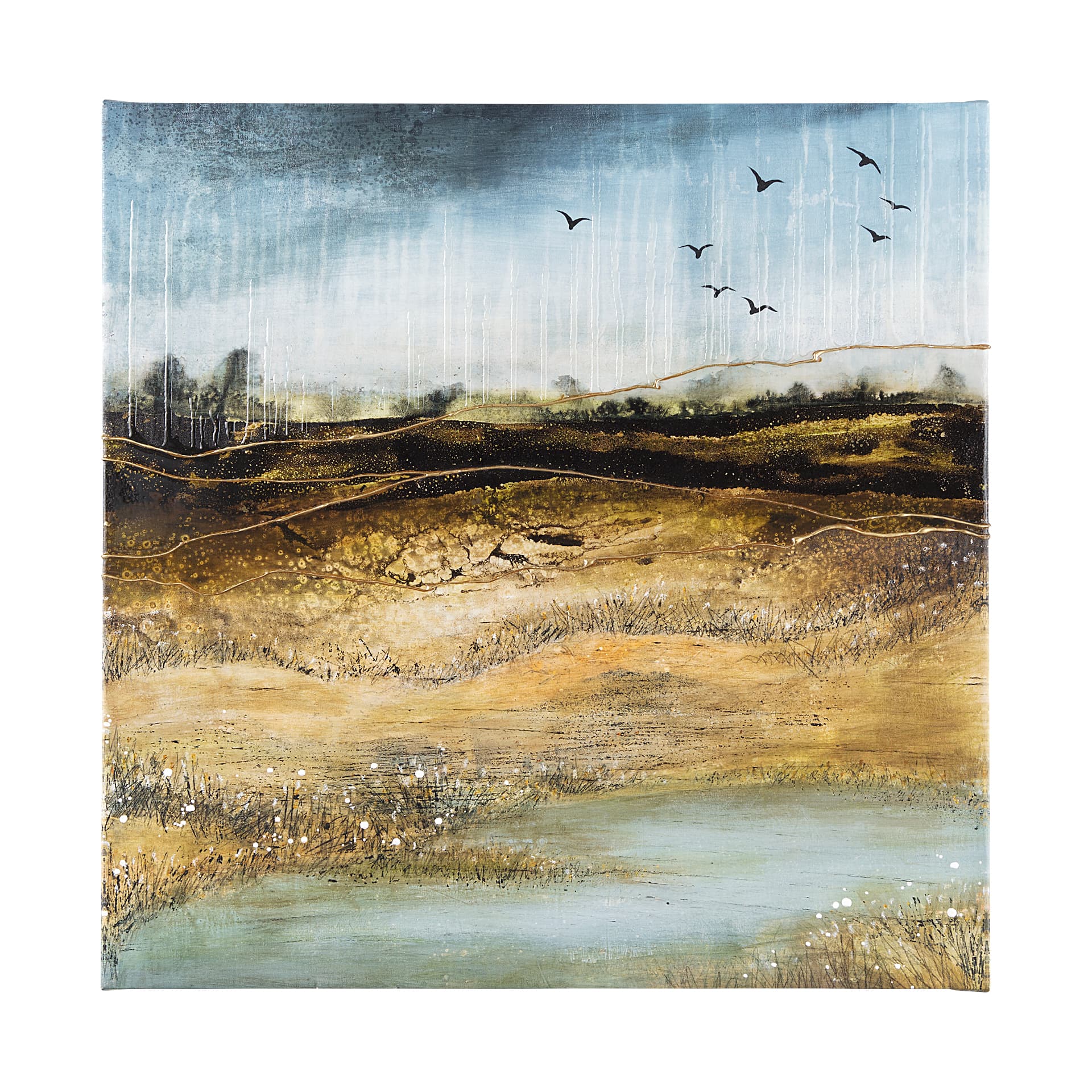 Daily Fly Over by Julie Devine a Canvas Print — product photograph