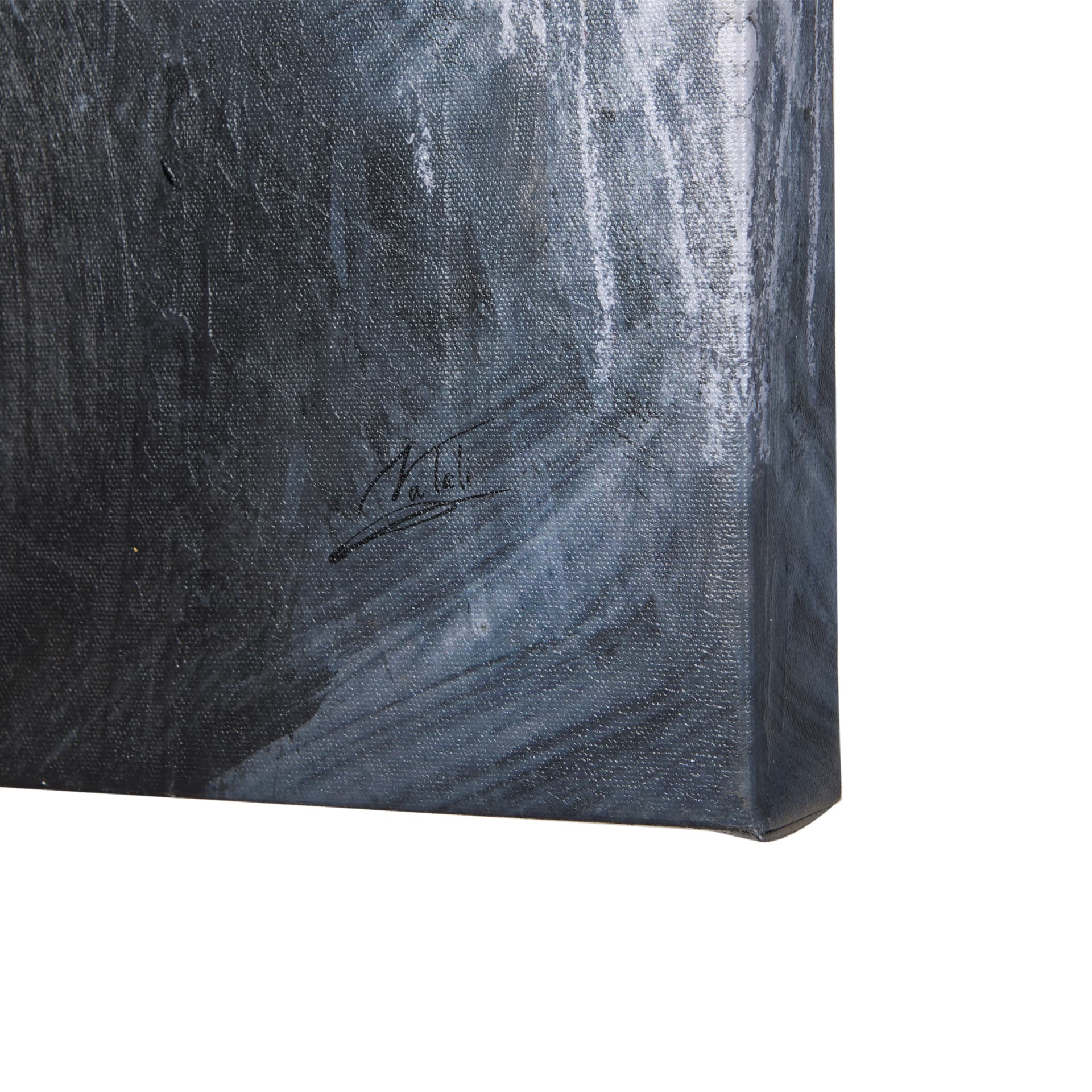 Animal Portrait III by Mercana Studio a Hand Embellished Textured Canvas — product photograph