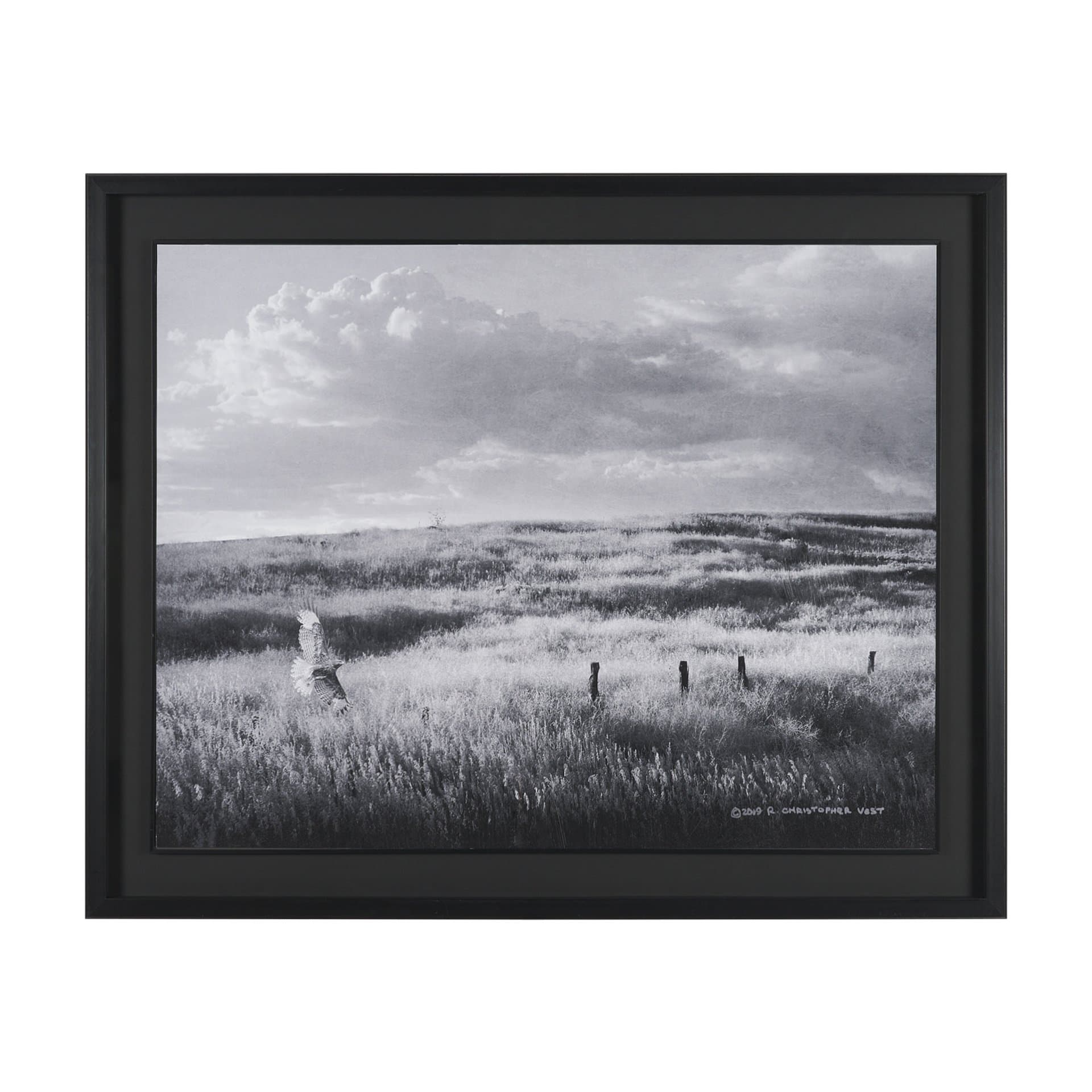 Fence Line Flight I by R. Christopher Vest Textured FramedPhoto Print Matted under Glass — product photograph