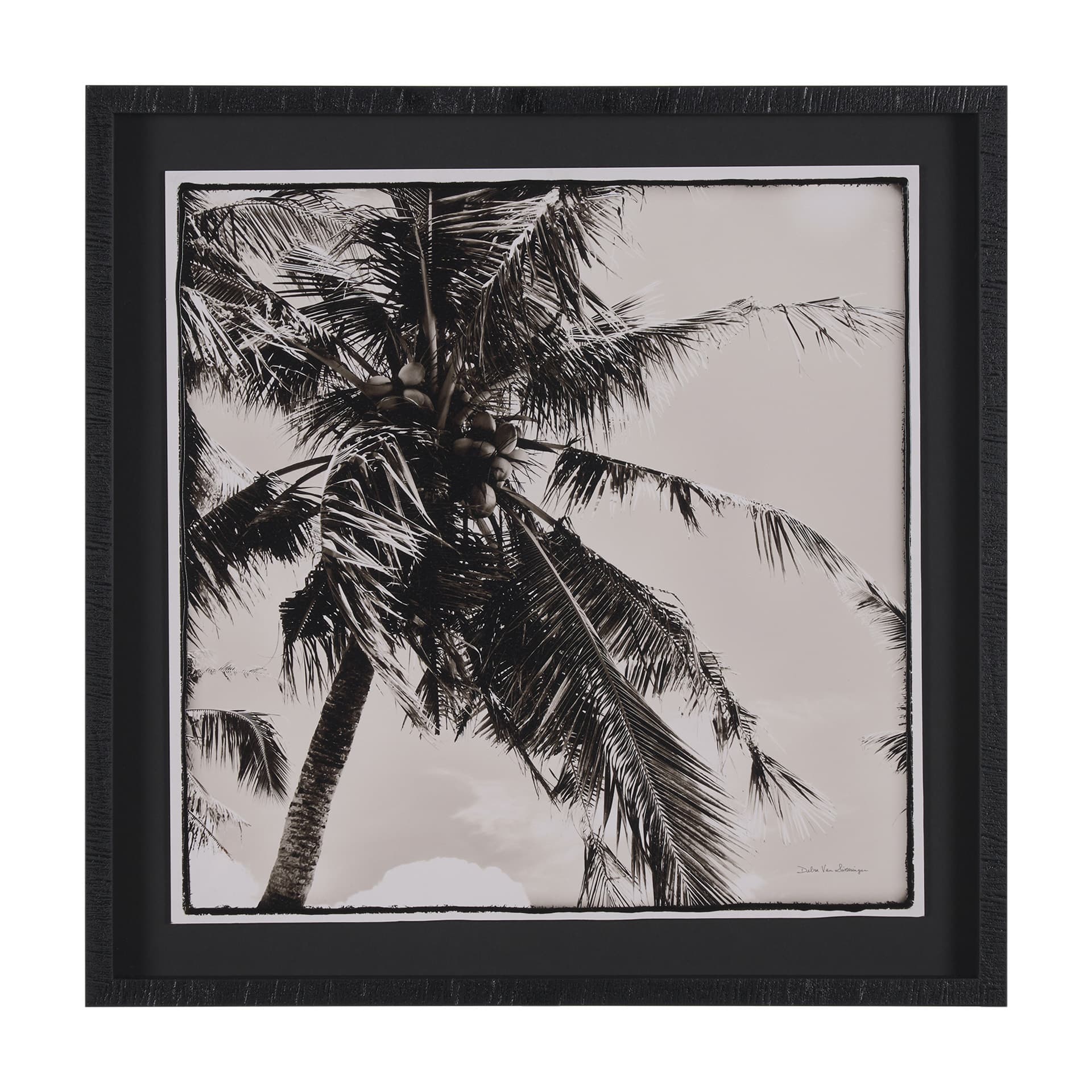 Palm Tree Sepia II by Debra Van Swearingen a Hand Embellished Framed Photo Art Print Matted under G — product photograph