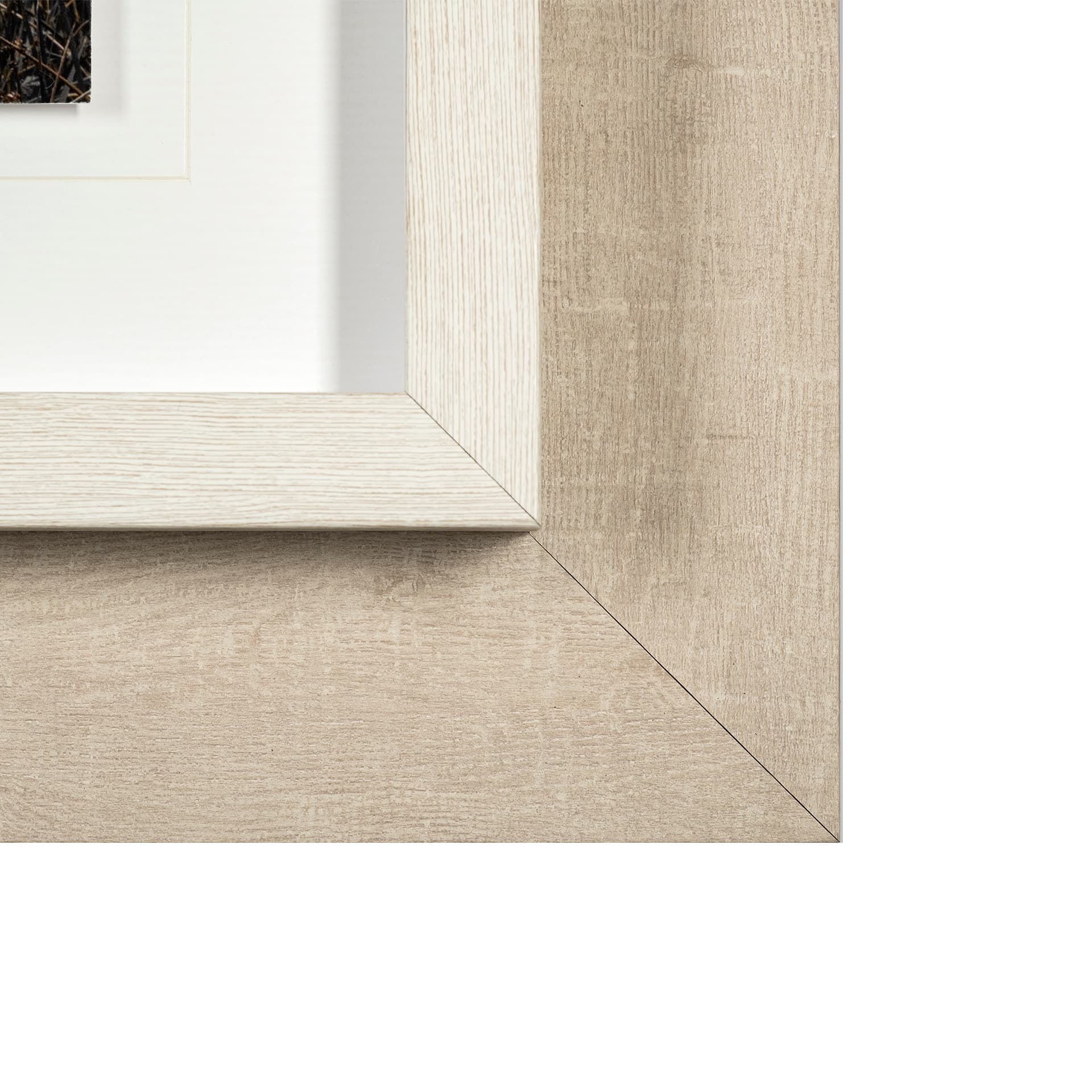 Bernie by Assaf Frank a Framed Photo Art Print Matted under Glass — product photograph