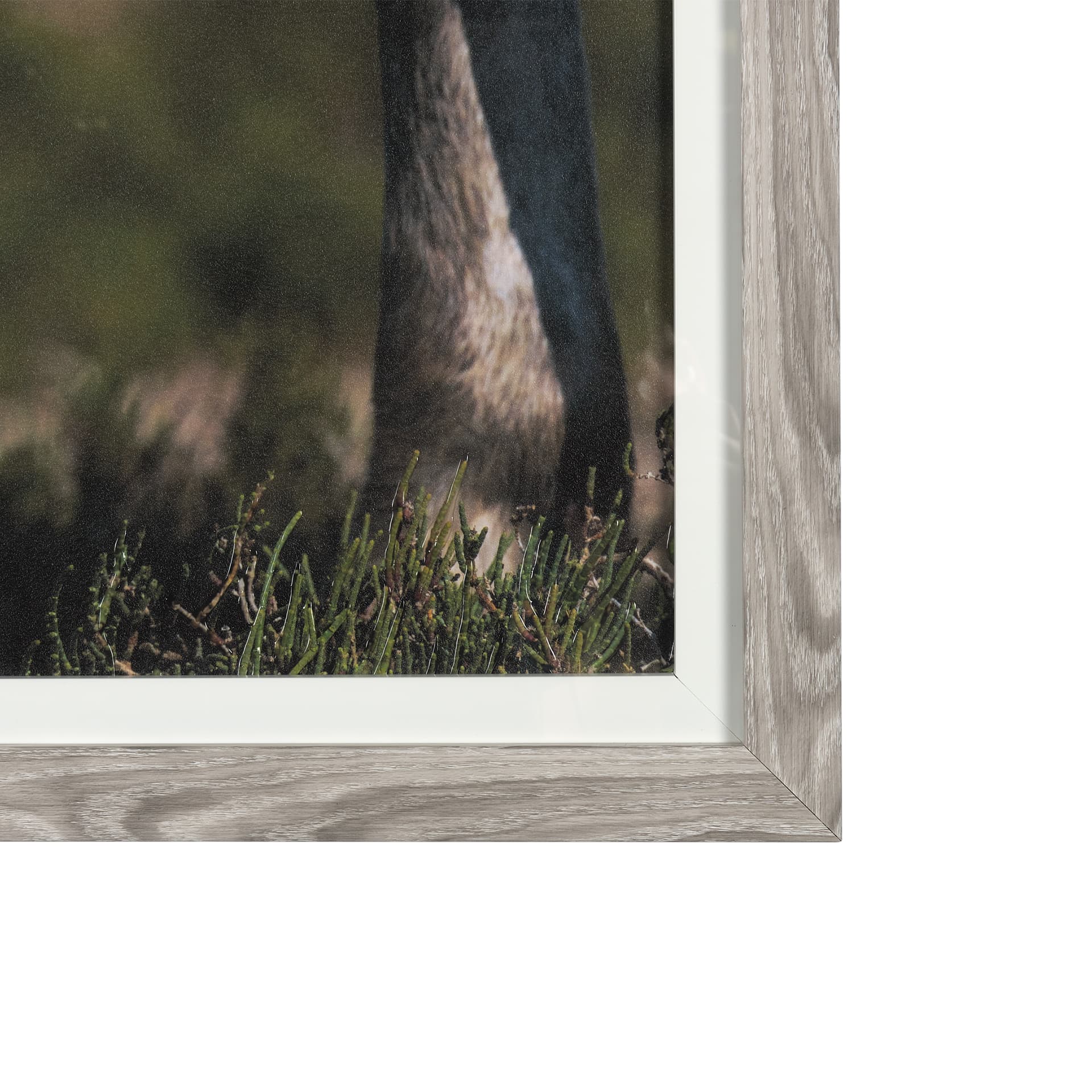 Nuzzled Together by Mercana Studio a Hand Embellished Textured Framed Art Photo Matted under Glass — product photograph