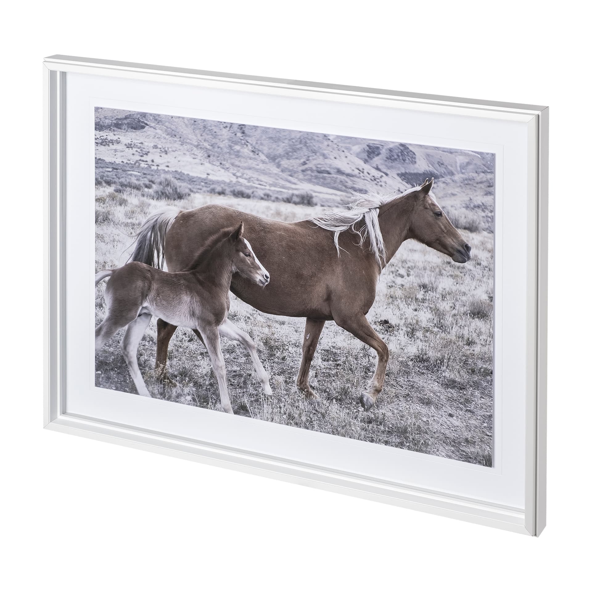 Horse 2 by Dunker a Framed Photo Art Print Matted under Glass — product photograph