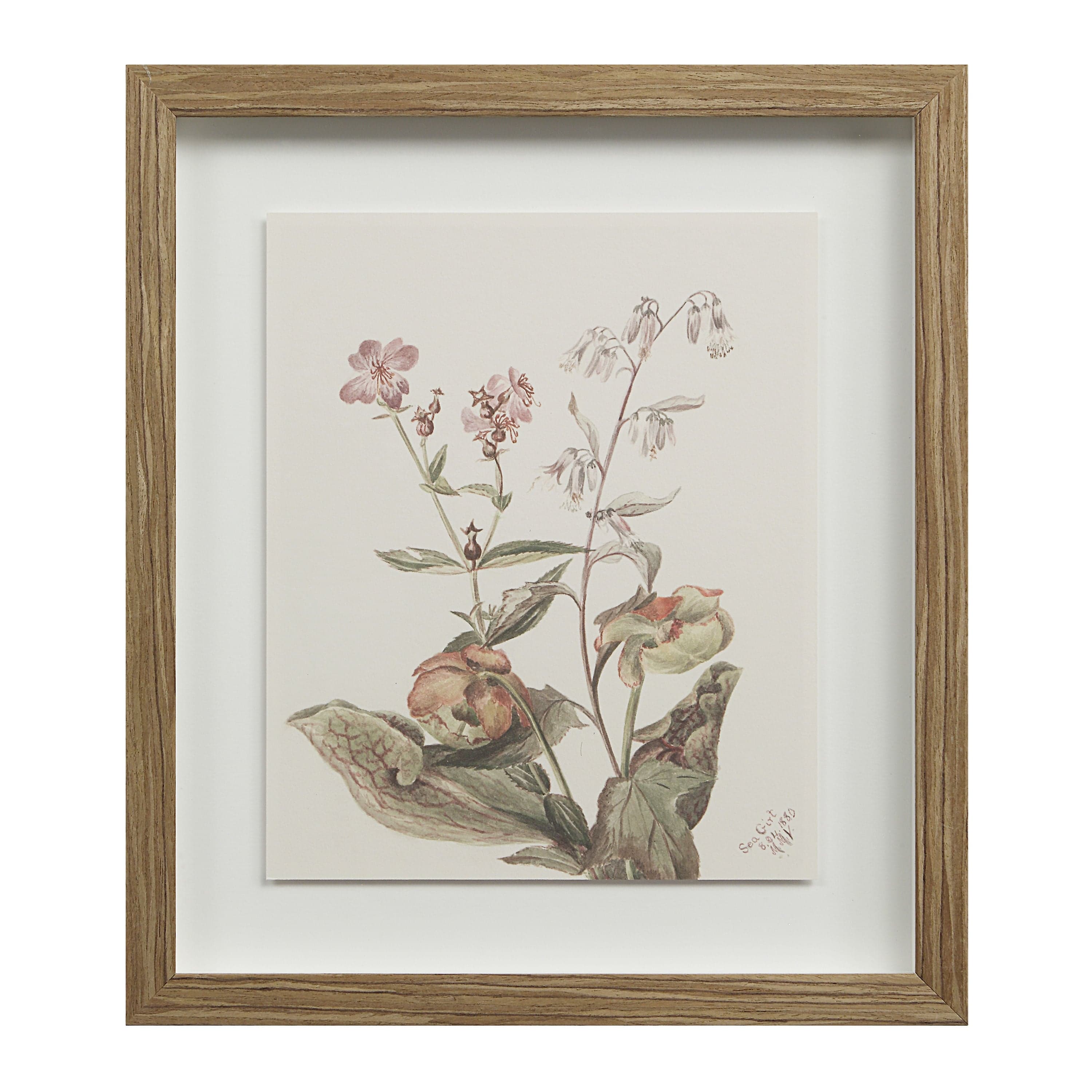 Crema — product photograph