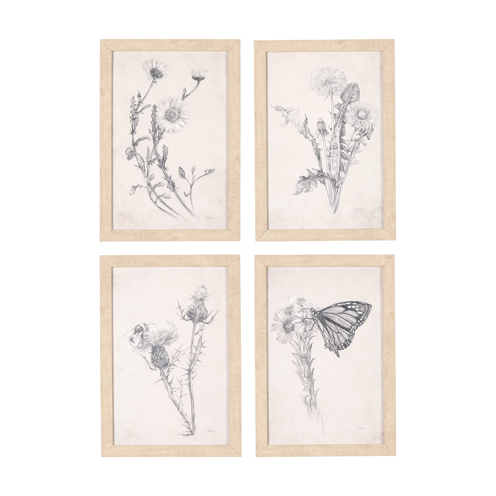 Chamomile Drawing I by Mercana Studio a Hand Embellished Textured Framed Art Print — product photograph