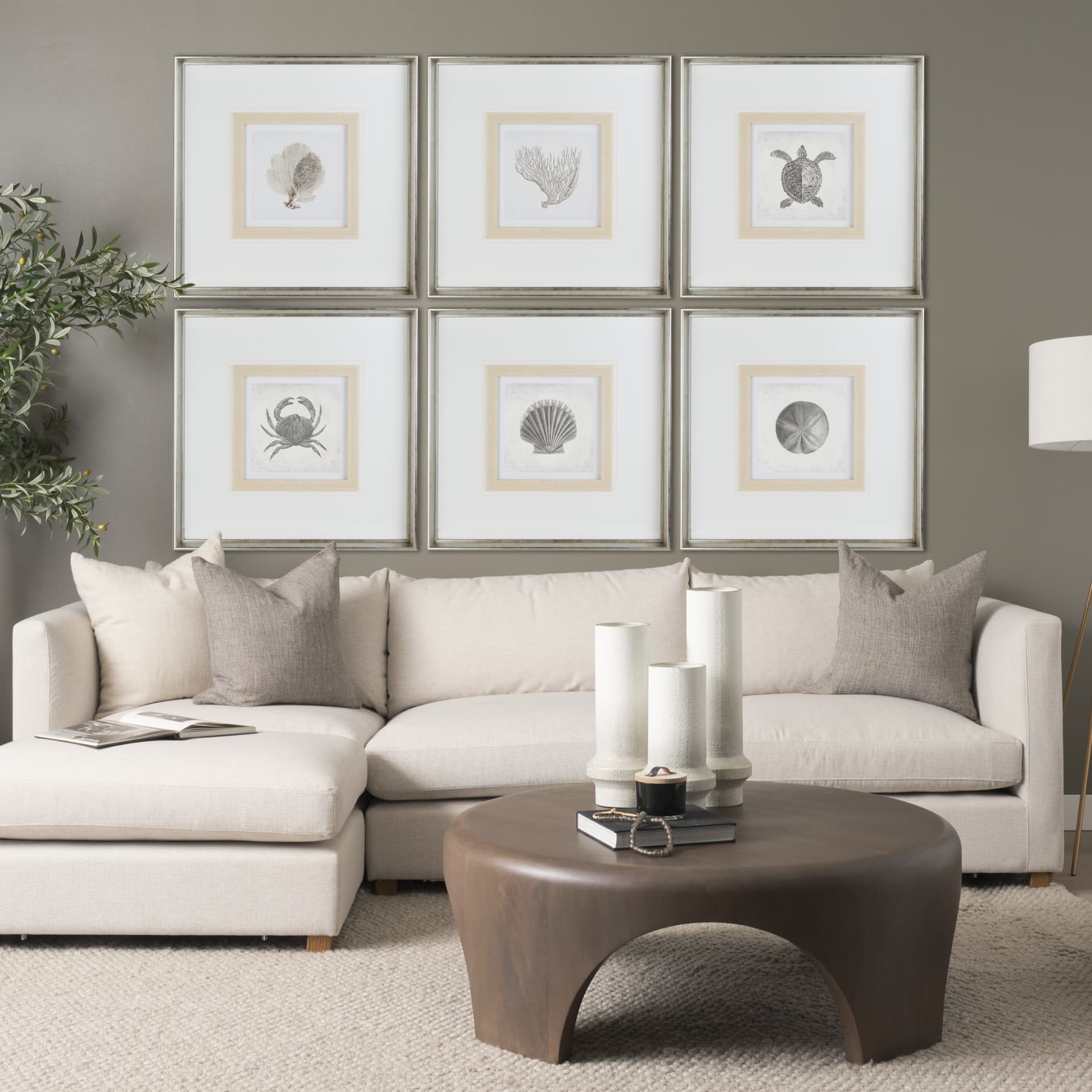Vintage Sand Dollar by Mercana Studio a Framed Art Print Matted under Glass — in a styled room