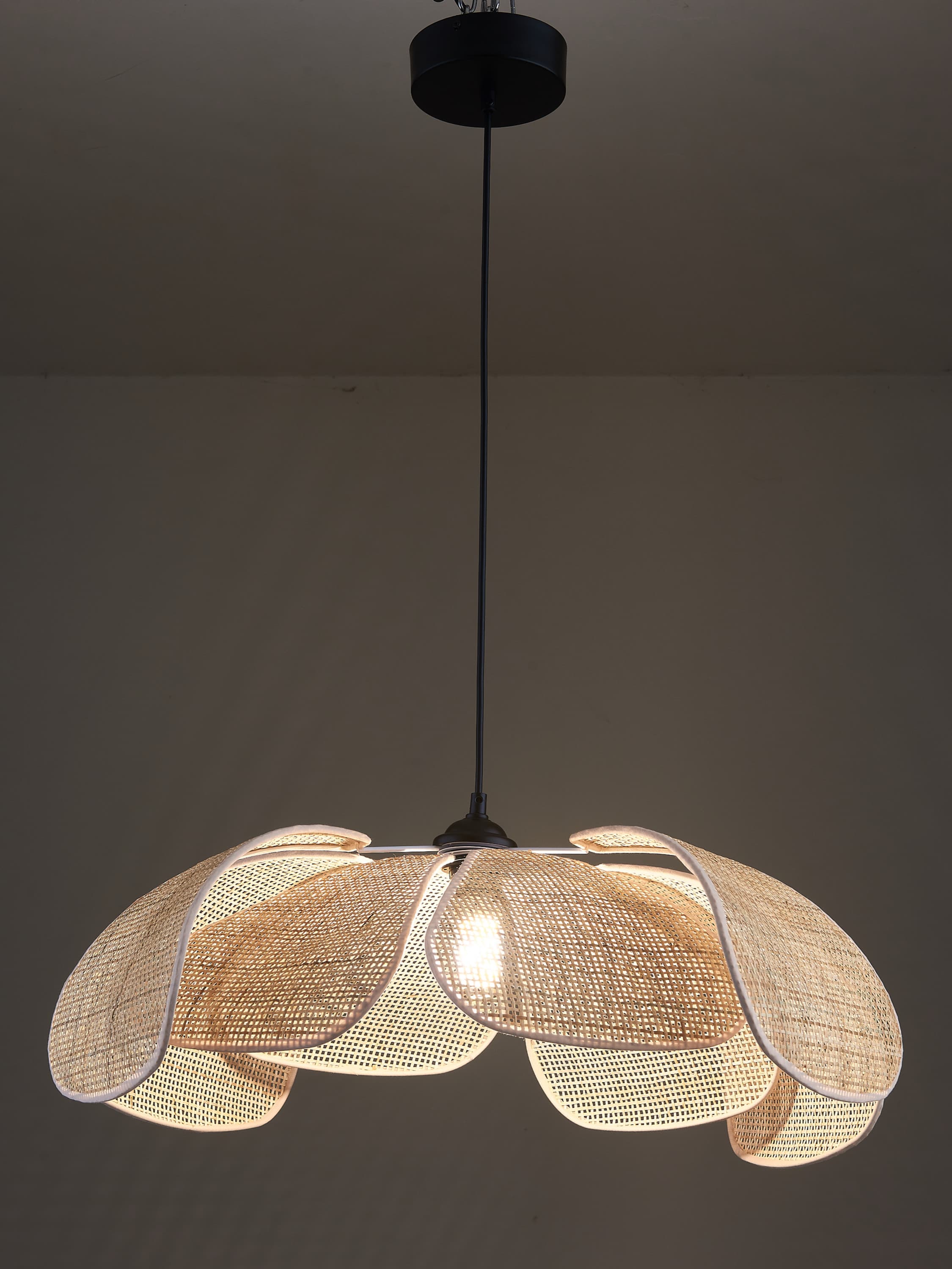 Petal Pendant Light — product photograph