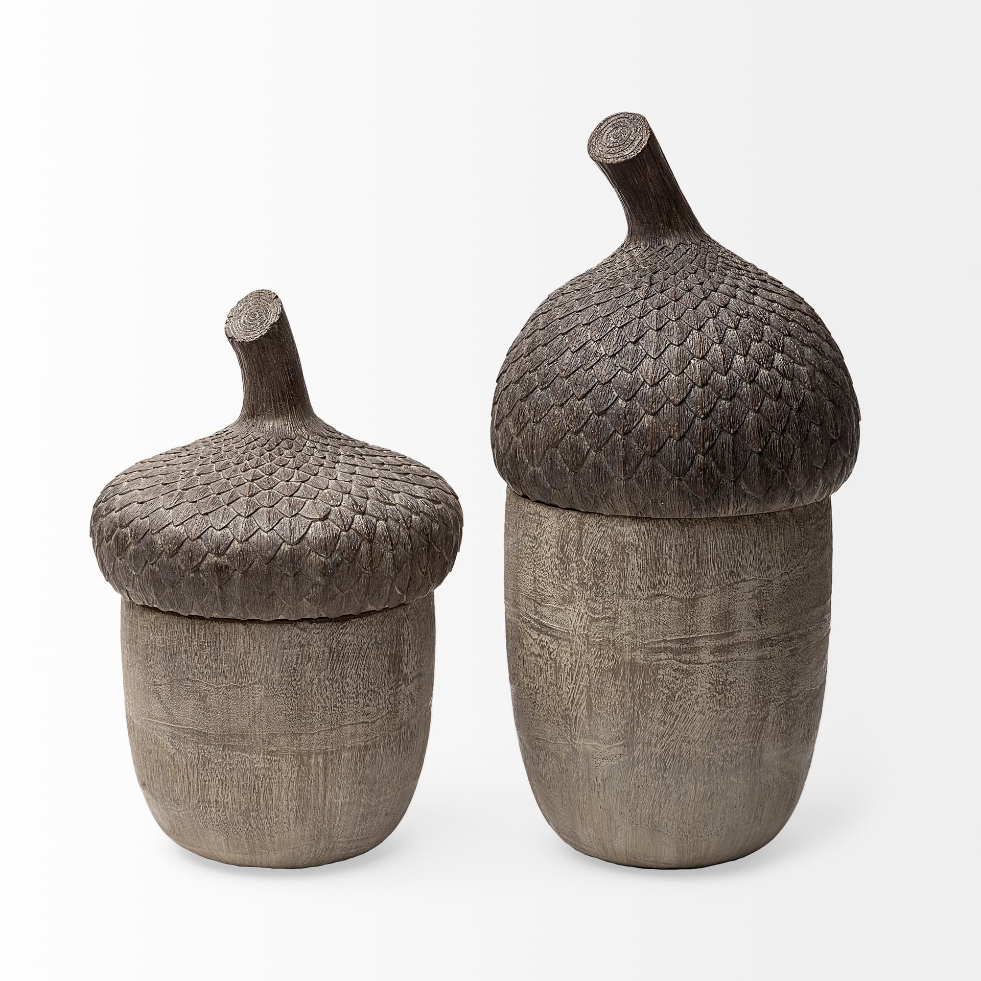Mandor I (Small) 6L x 6W Brown Resin Acorn Box — product photograph