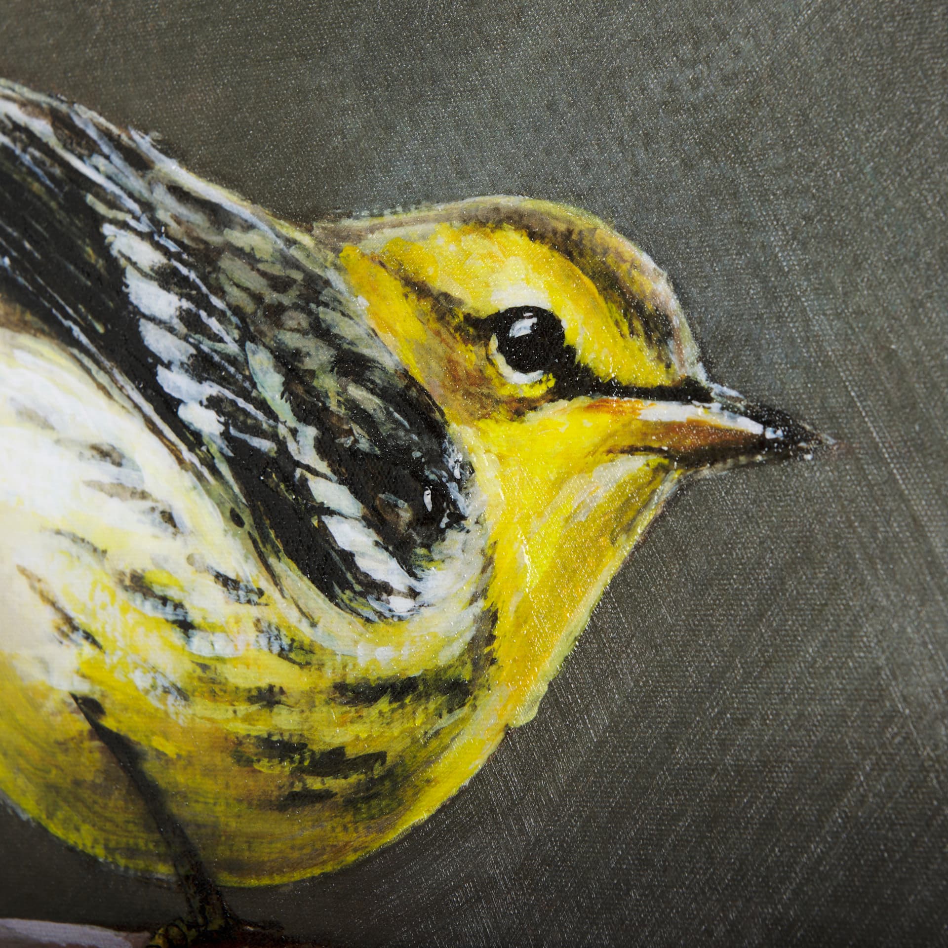 Graceful Poise III (Bay-Breasted Warbler)(42 x 56) — product photograph