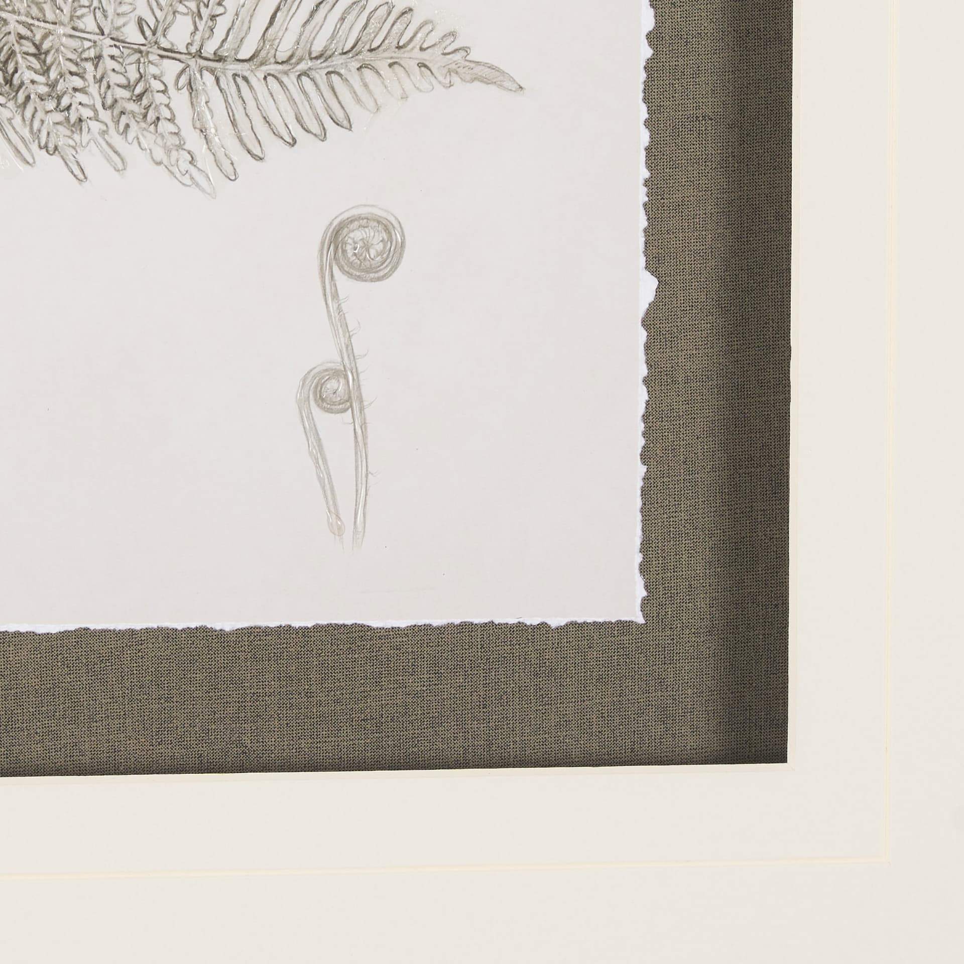Fern Study III by Mercana Studio Hand Embelished Framed Art Print Matted under Glass — product photograph