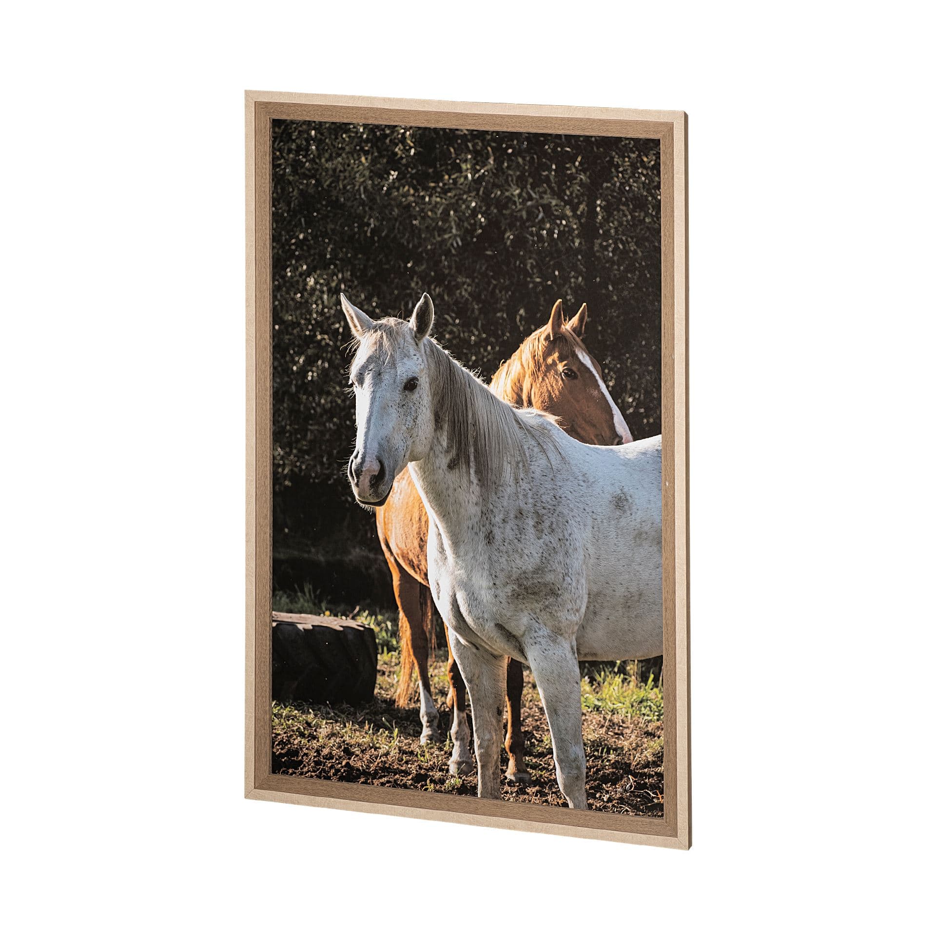 Rebel & Tinder by Katelyn Mostert a Framed Photo Art Print Matted under Glass — product photograph