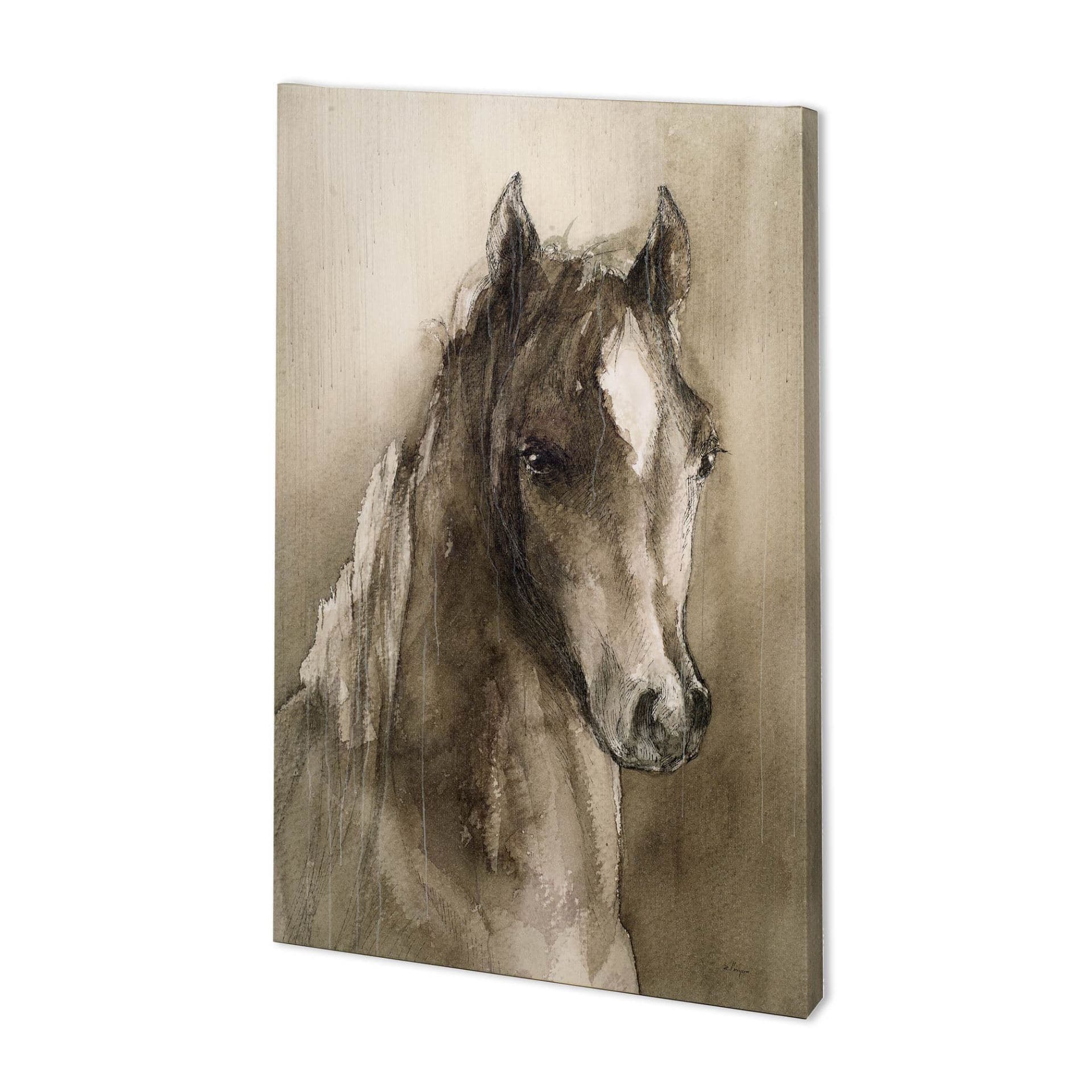 Horse Portrait I by Mercana Studio a Hand Embellished Textured Canvas — product photograph