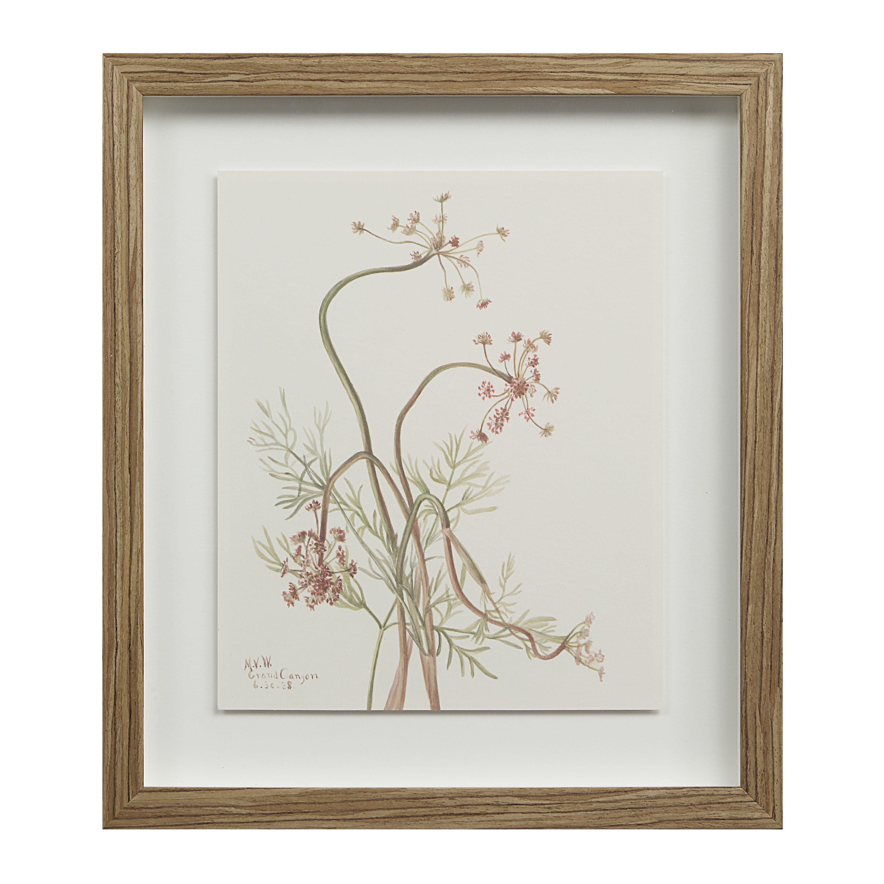 Crema — product photograph