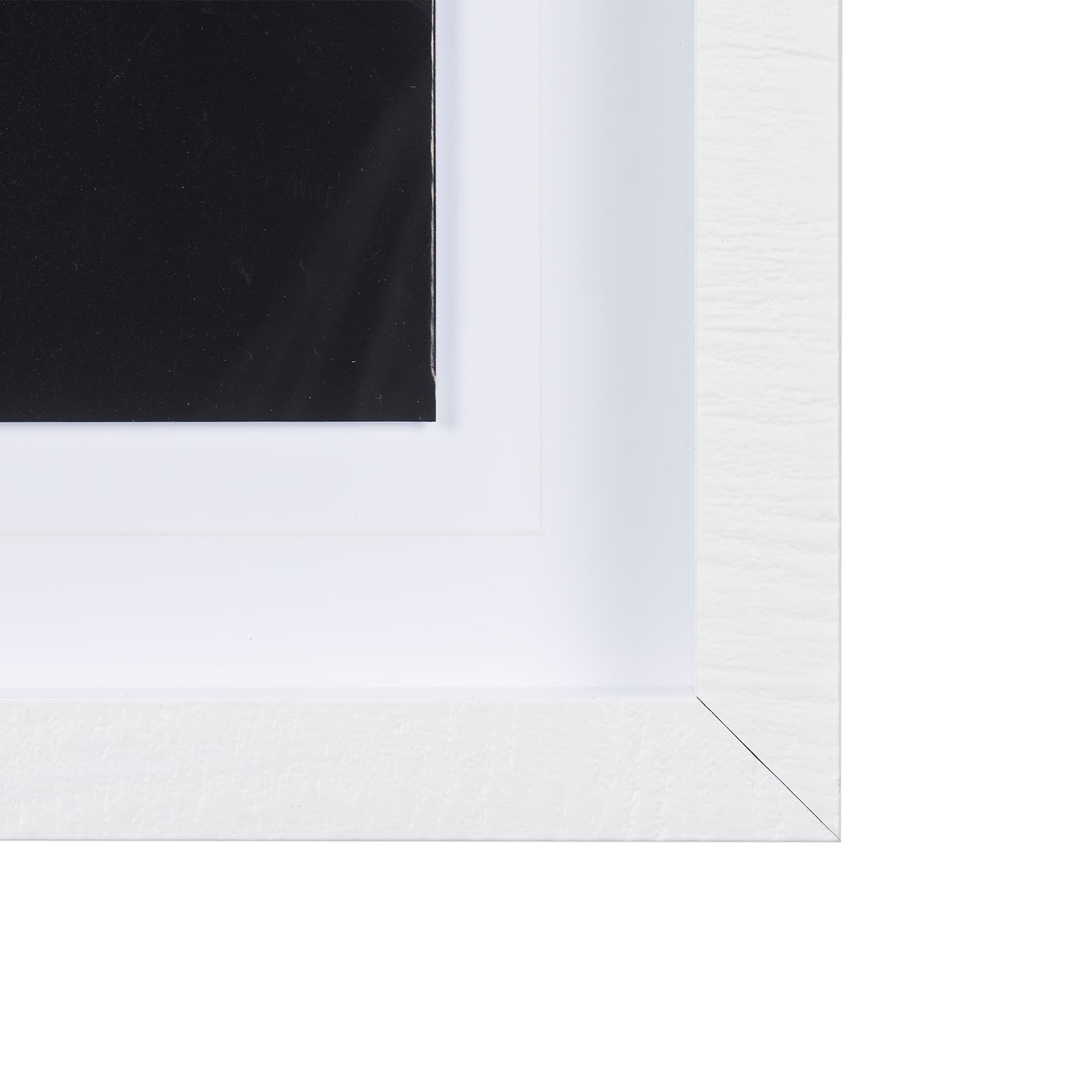 Dragon Fly by Mercana Studio a Framed Photo Art Print Matted under Glass — product photograph