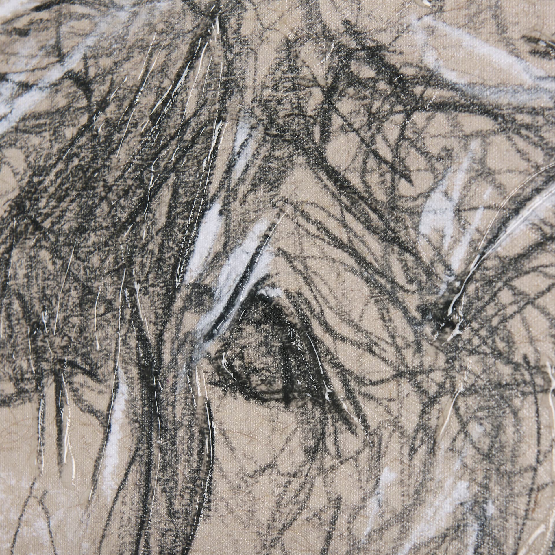 Sketch of animal VIII (Highland bull) by Mercana Studio a Hand Embellished Textured Canvas — product photograph