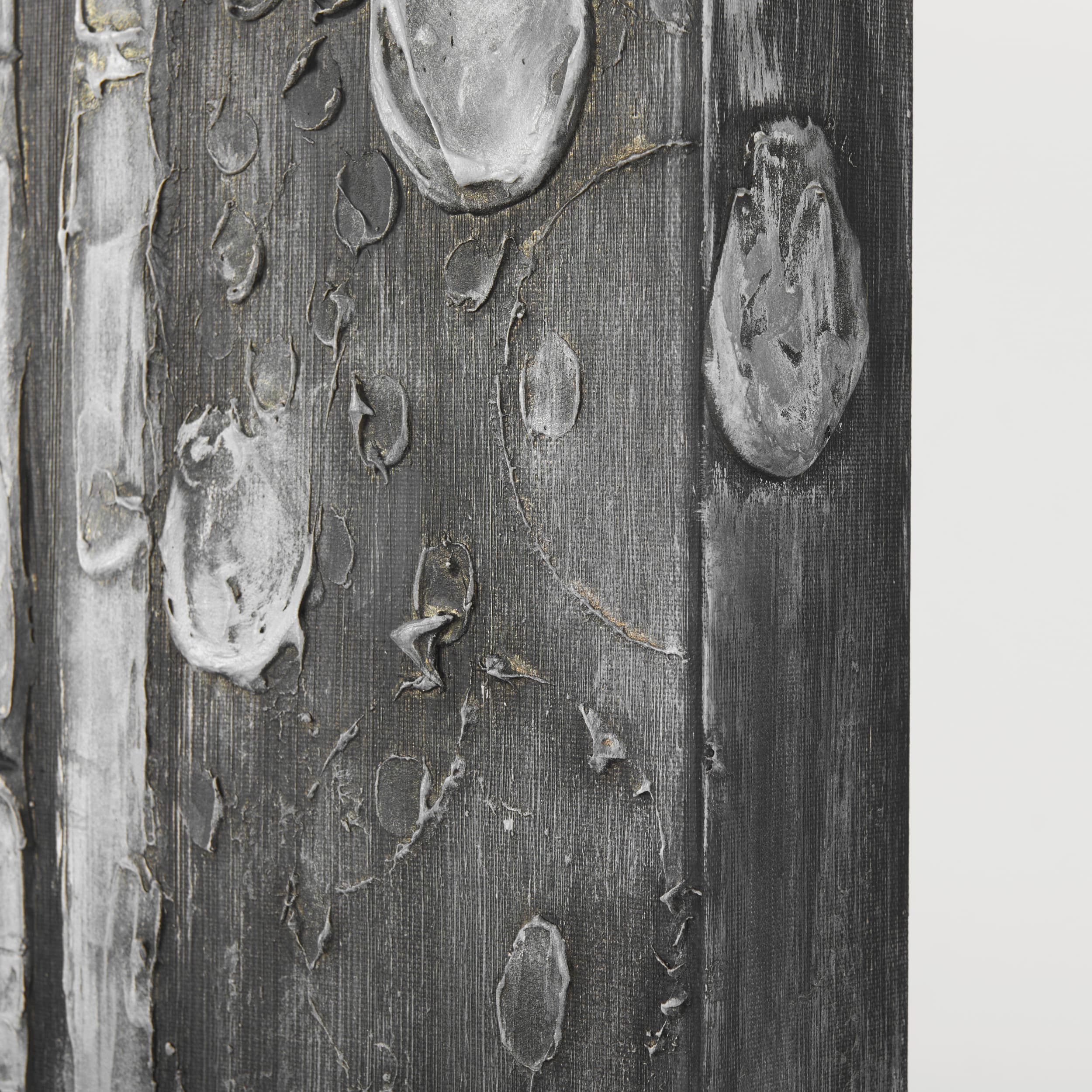 Birch Trees by Studio M a Hand Embellished Gallery-Wrapped Canvas Print — product photograph