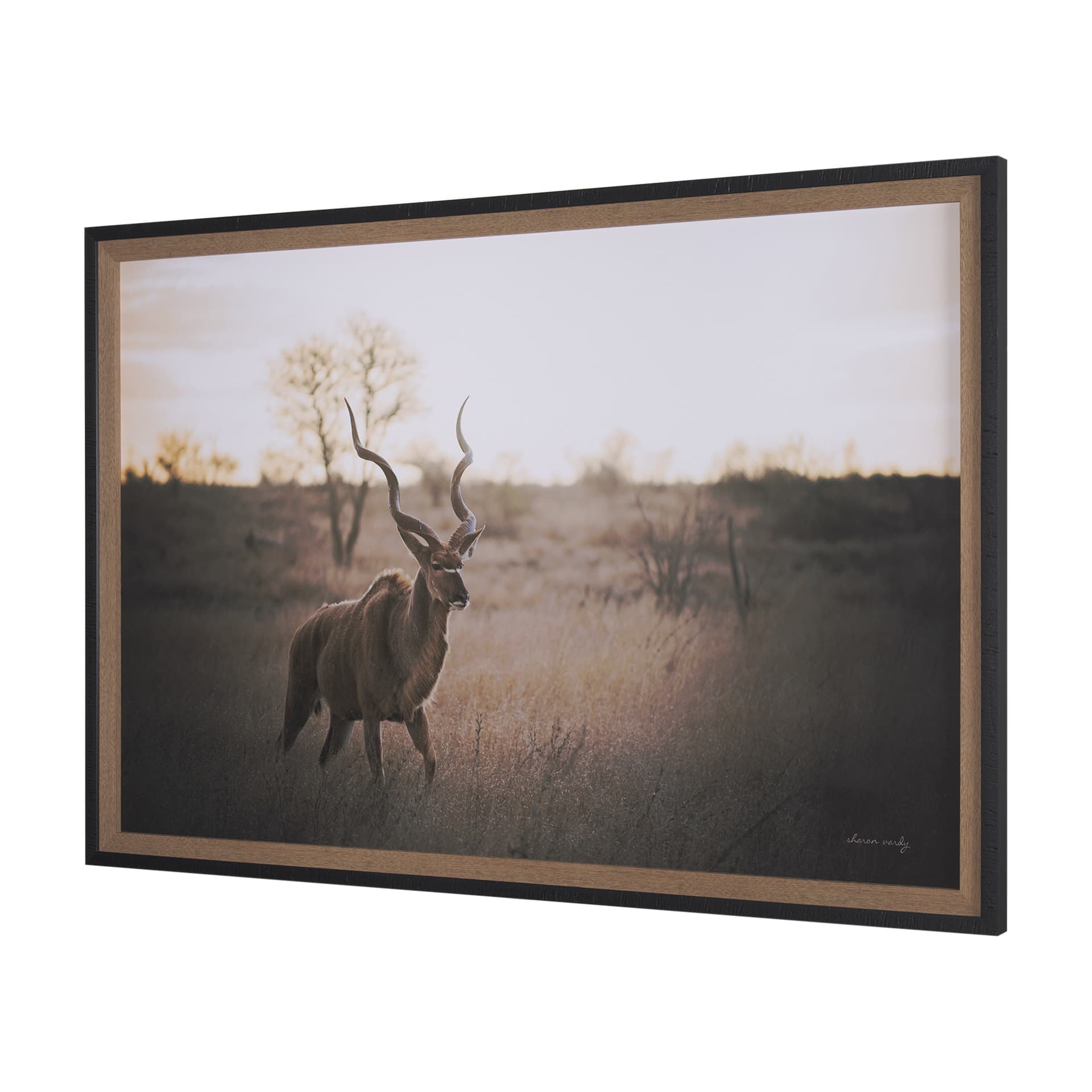 Kudu Bull by Sharon Vardy a Hand Embellished Framed Photo Art Print Matted under Glass — product photograph