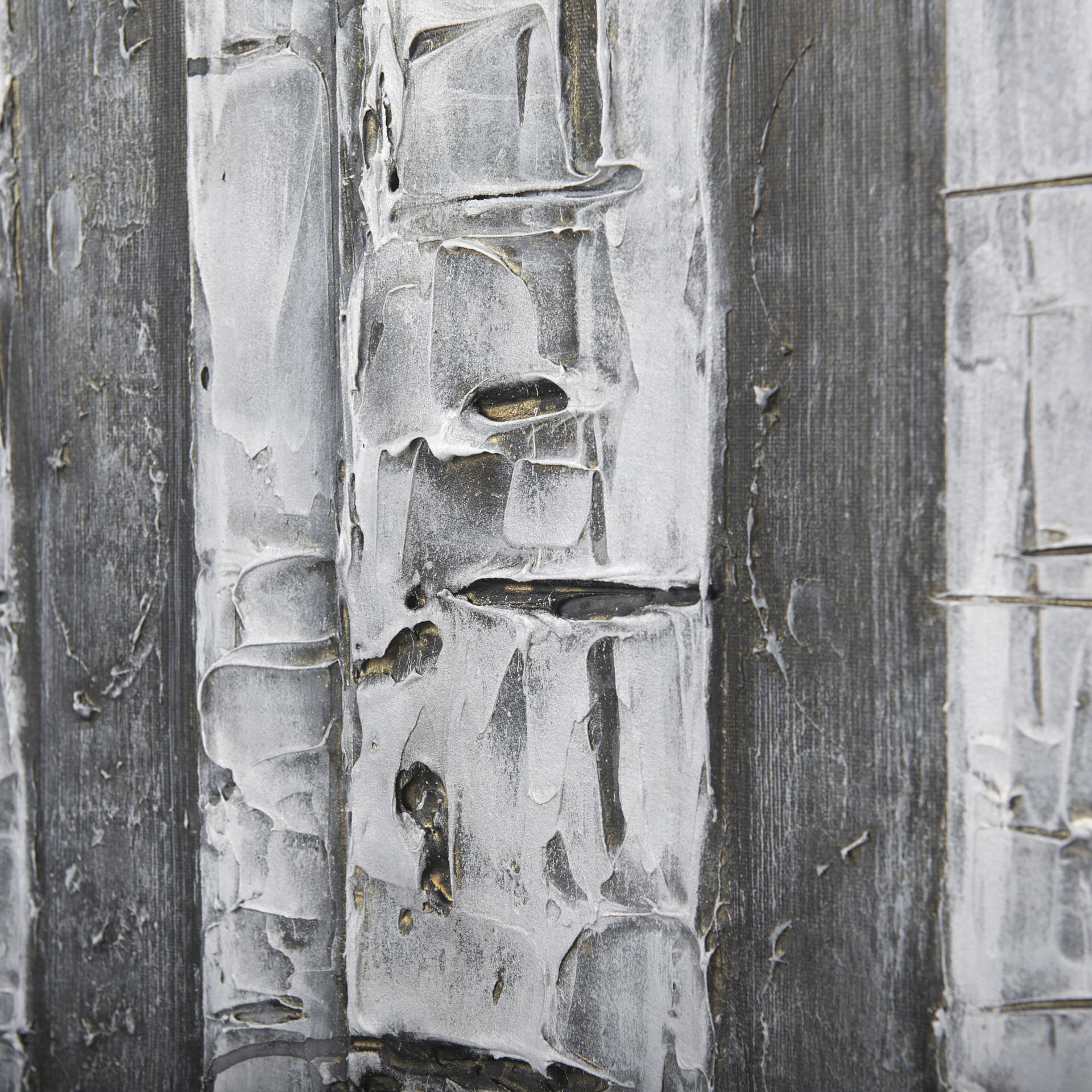 Birch Trees by Studio M a Hand Embellished Gallery-Wrapped Canvas Print — product photograph