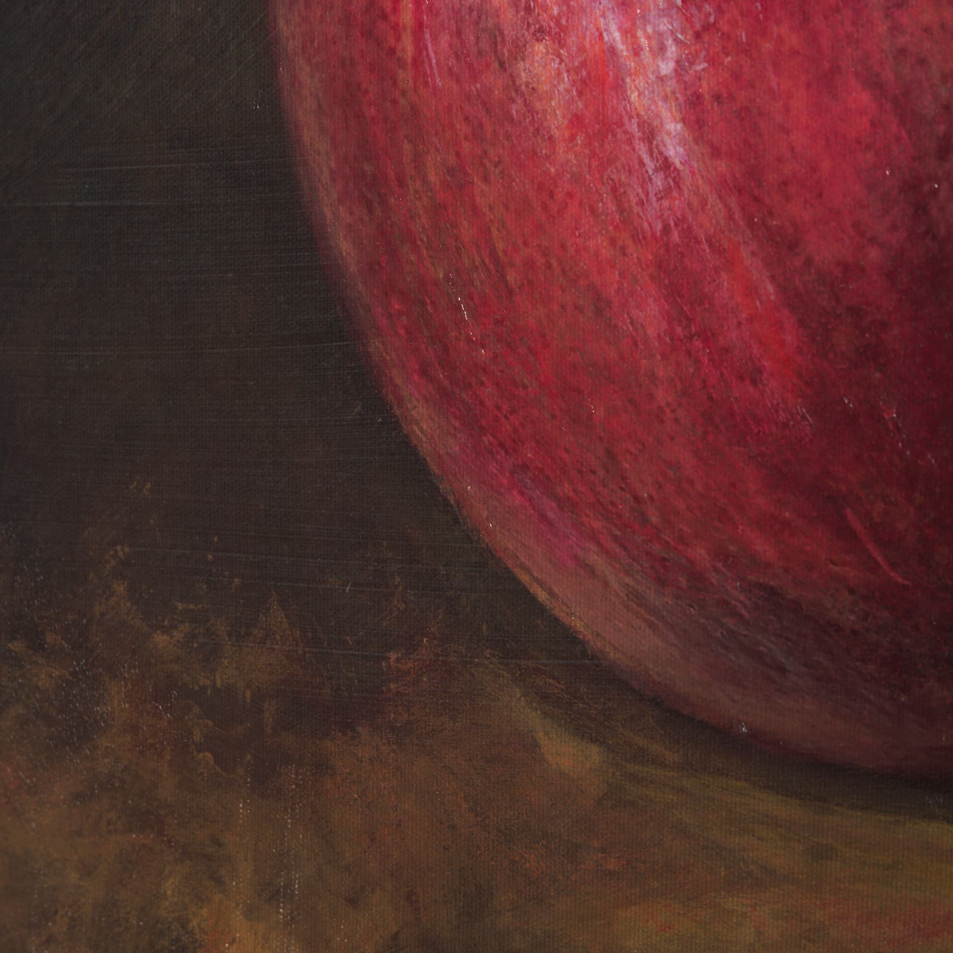 Lonely Pomegranate by Mercana Studio a Hand Embellished Textured Canvas — product photograph