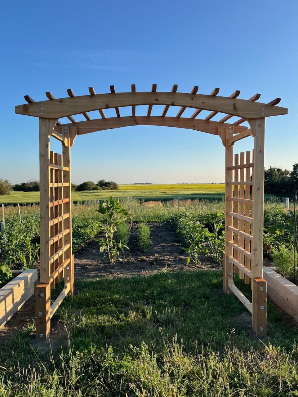 8-Ft Cedar Garden Wedding Arbor — product photograph