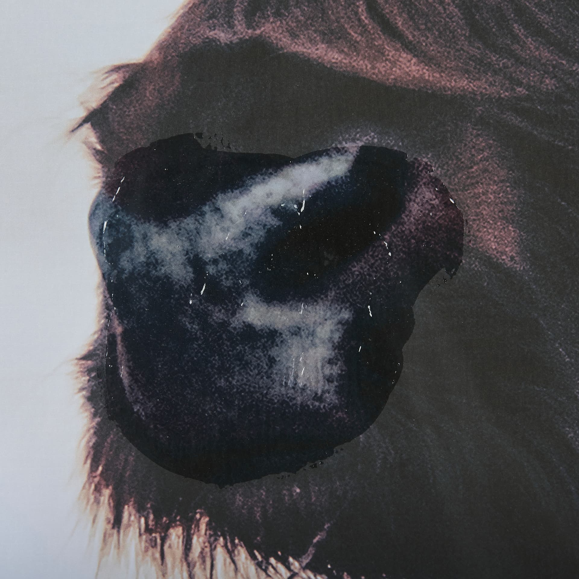 Stark Still-Gaze by Mercana Studio a Hand Embellished Textured Framed Photo Art Print Matted under G — product photograph