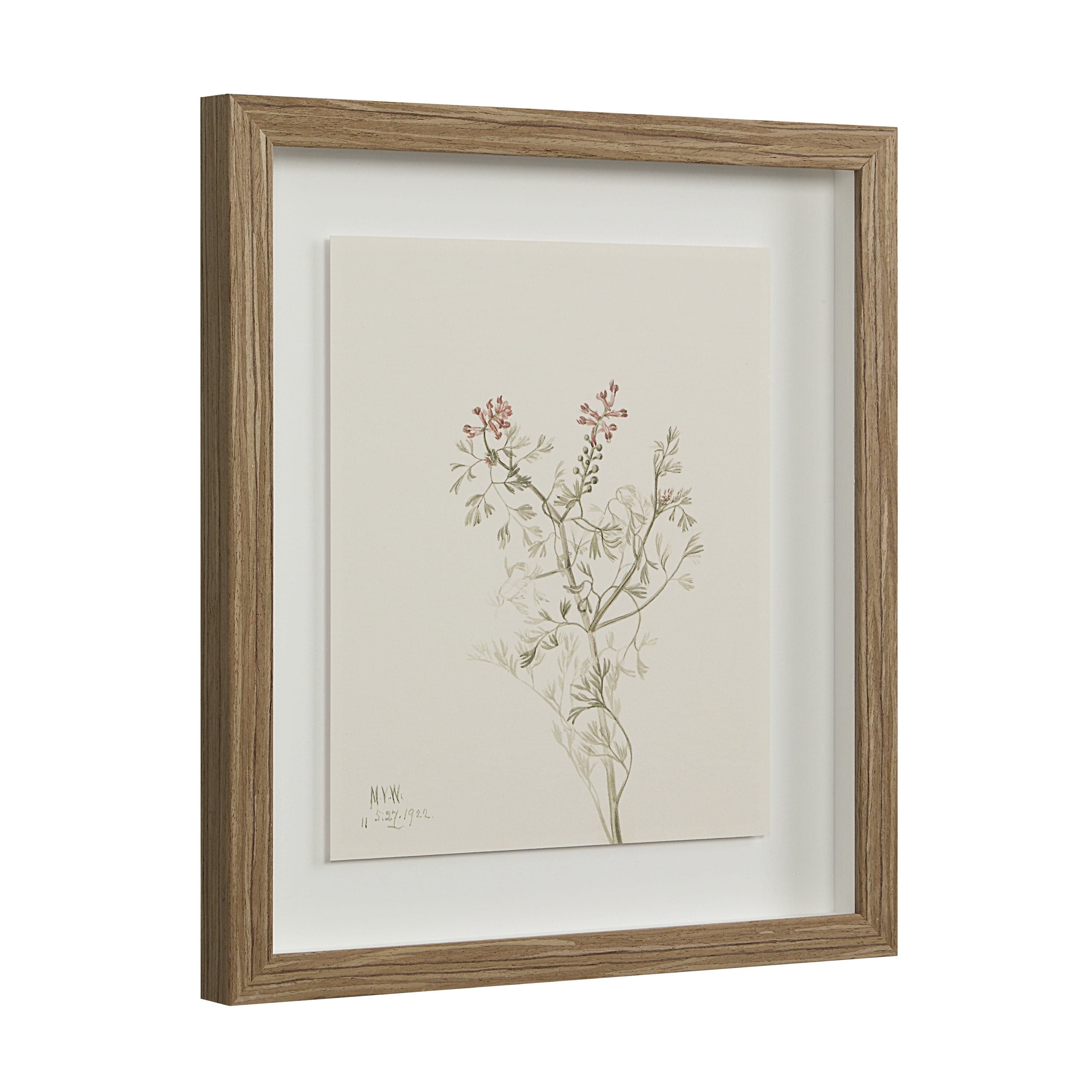Crema — product photograph