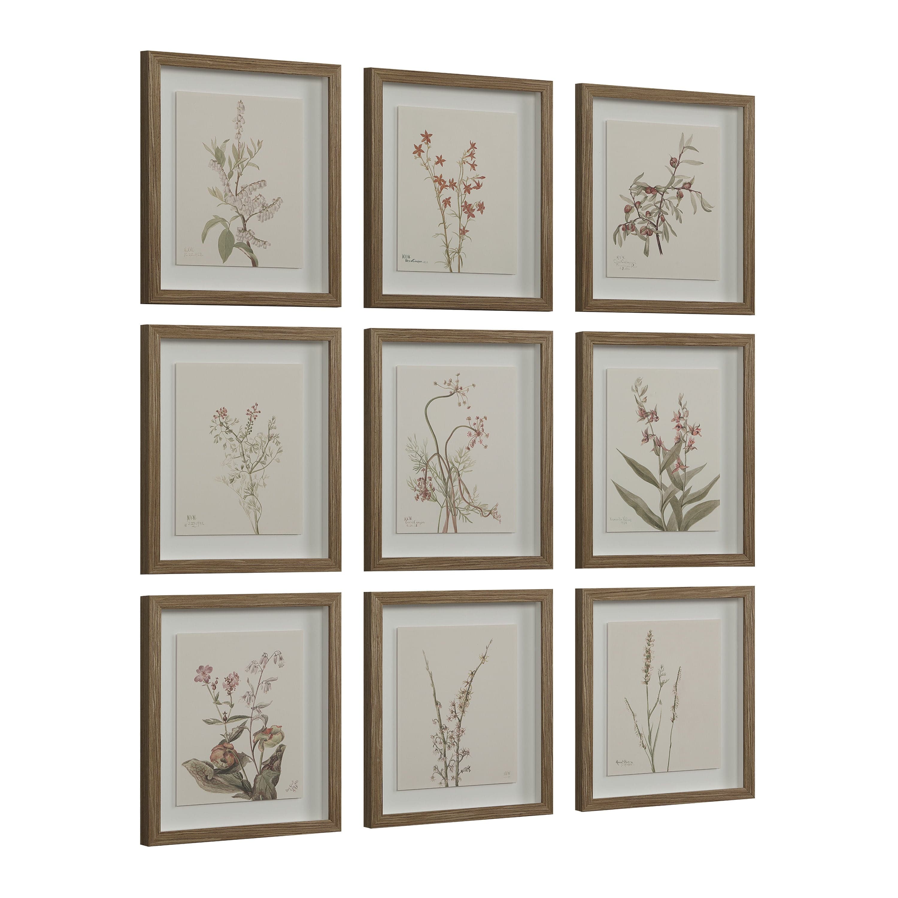 Crema — product photograph