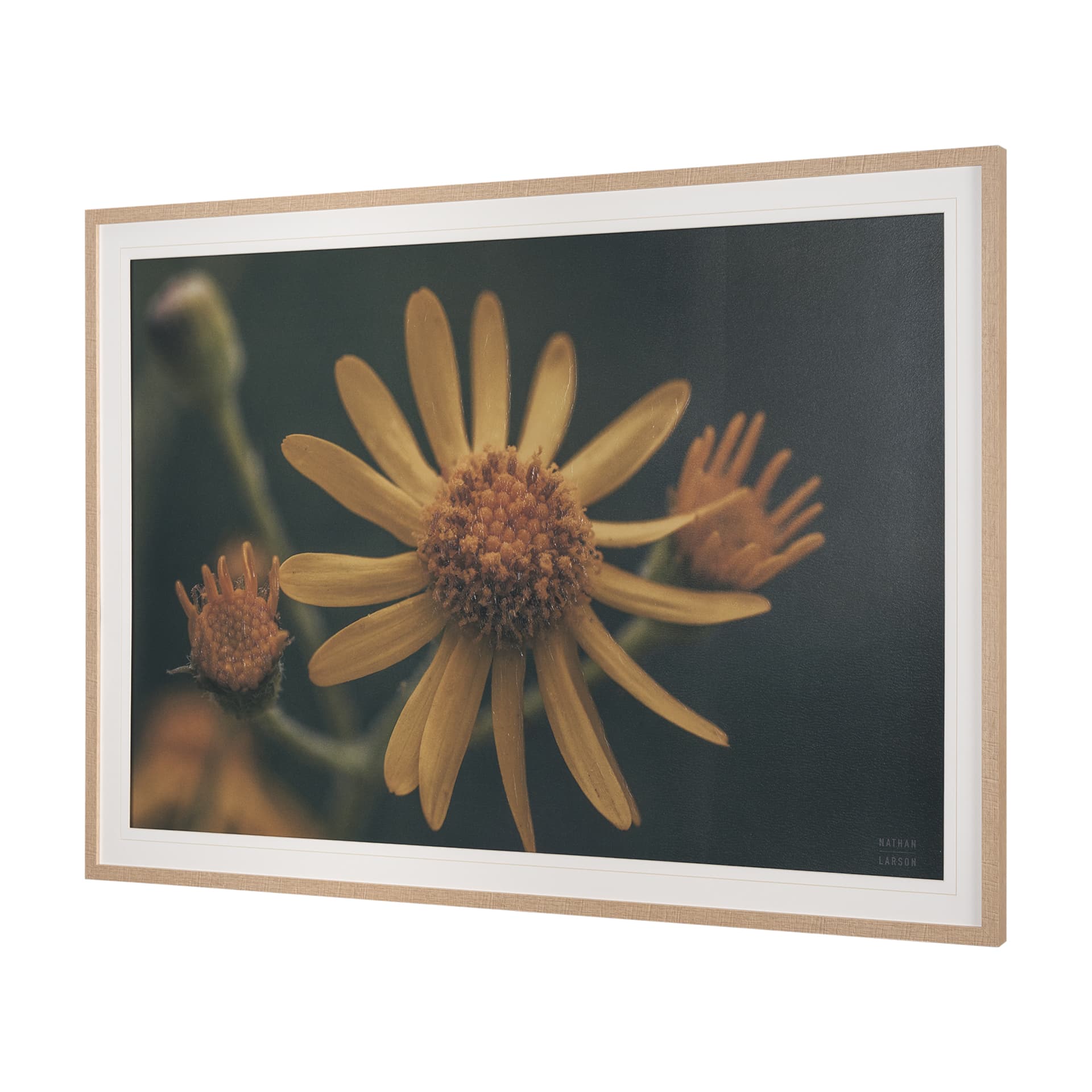 Wild Blooms II by Nathan Larson a Hand Embellished Framed Photo Art Print Matted under Glass — product photograph