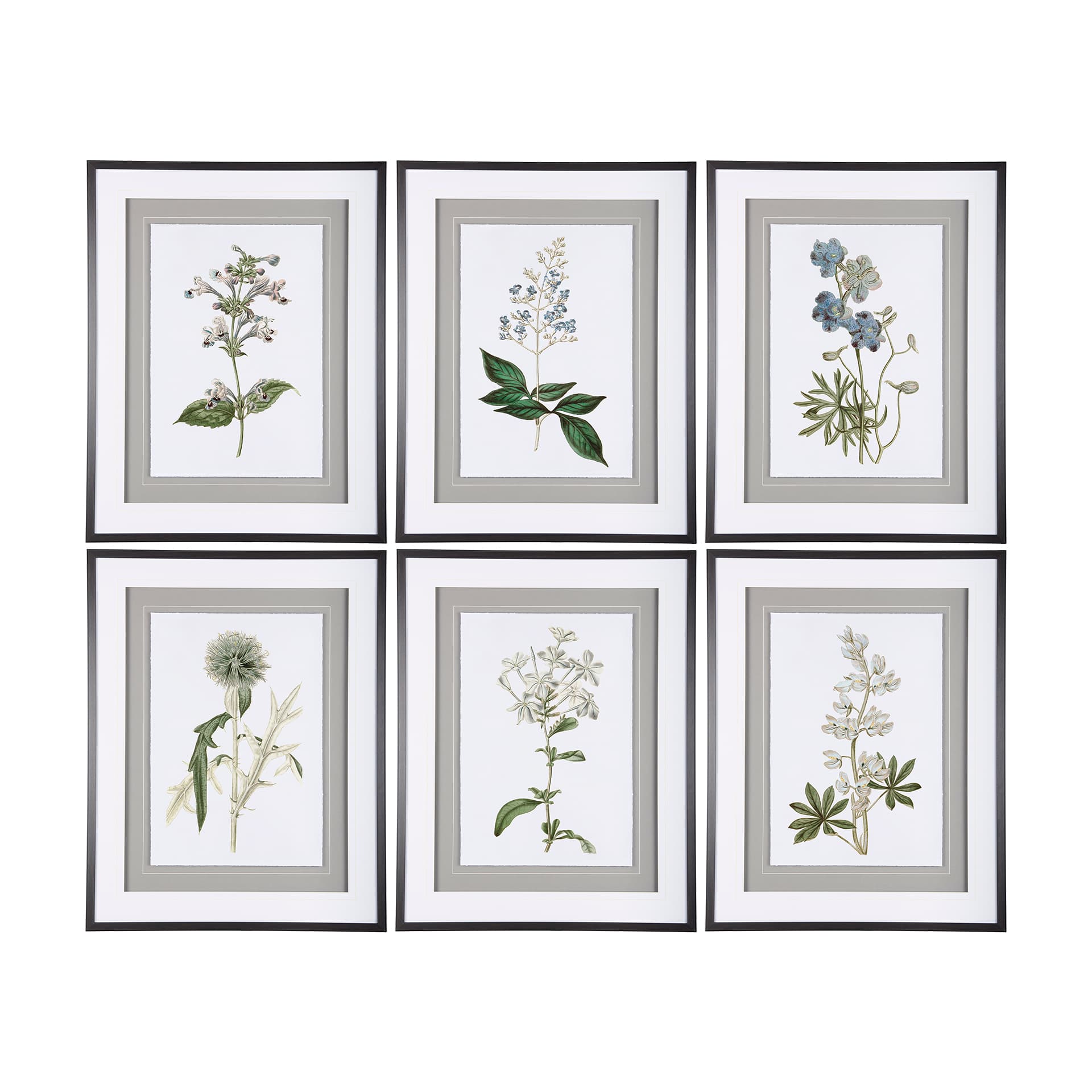 Soft Blue Botanoicals VIII by Mercana Studio Hand Embellished Framed Art Print Matted under Glass — product photograph