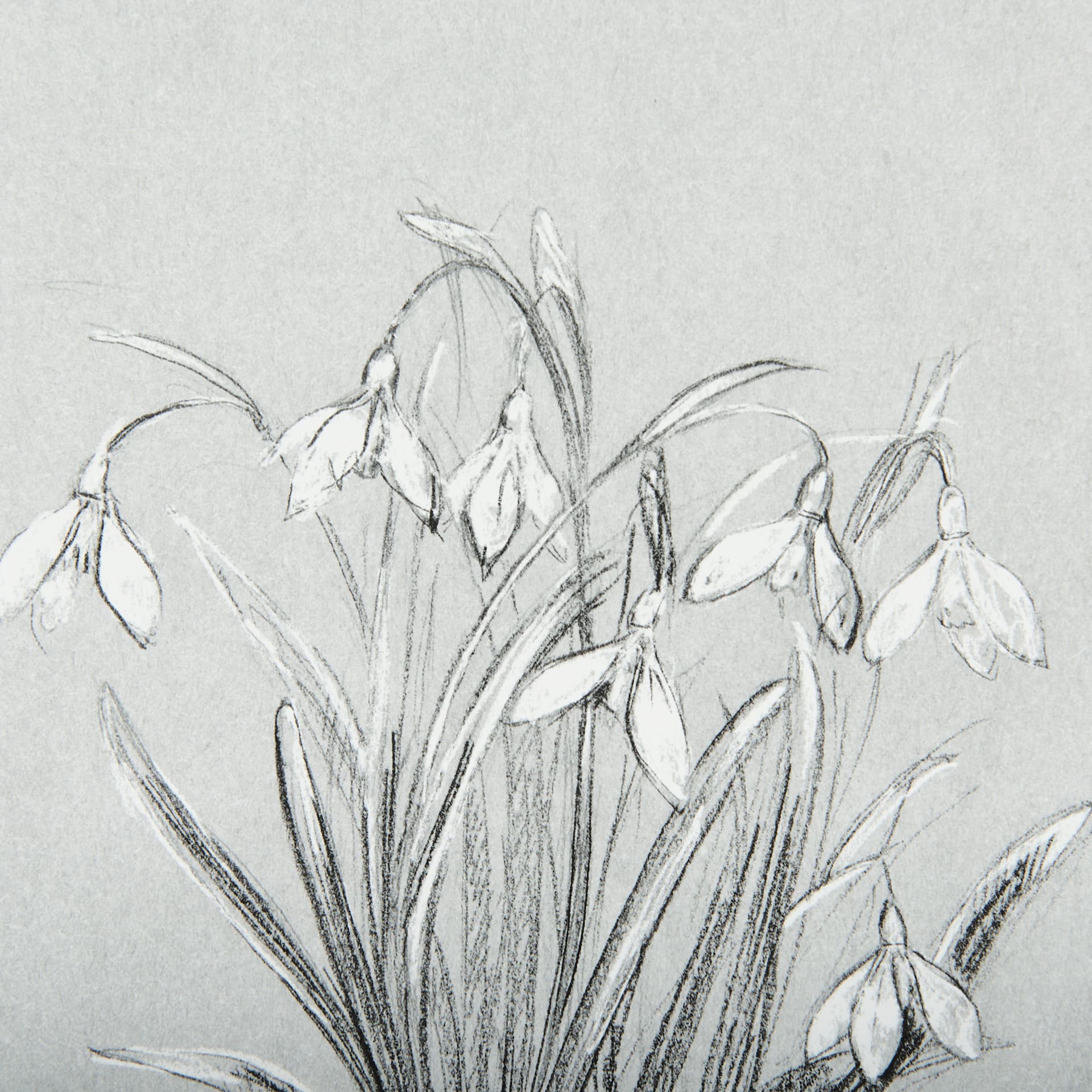Botanical sketches VI (Grey) by Mercana Studio Hand Embellished Framed Art Print Matted under Glass — product photograph