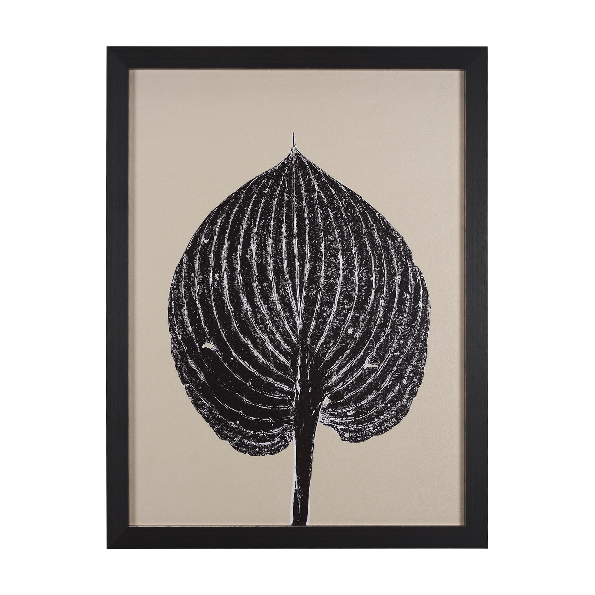 Hosta B by Mary Margaret Briggs a Hand Embellished Textured Framed Art Print — product photograph