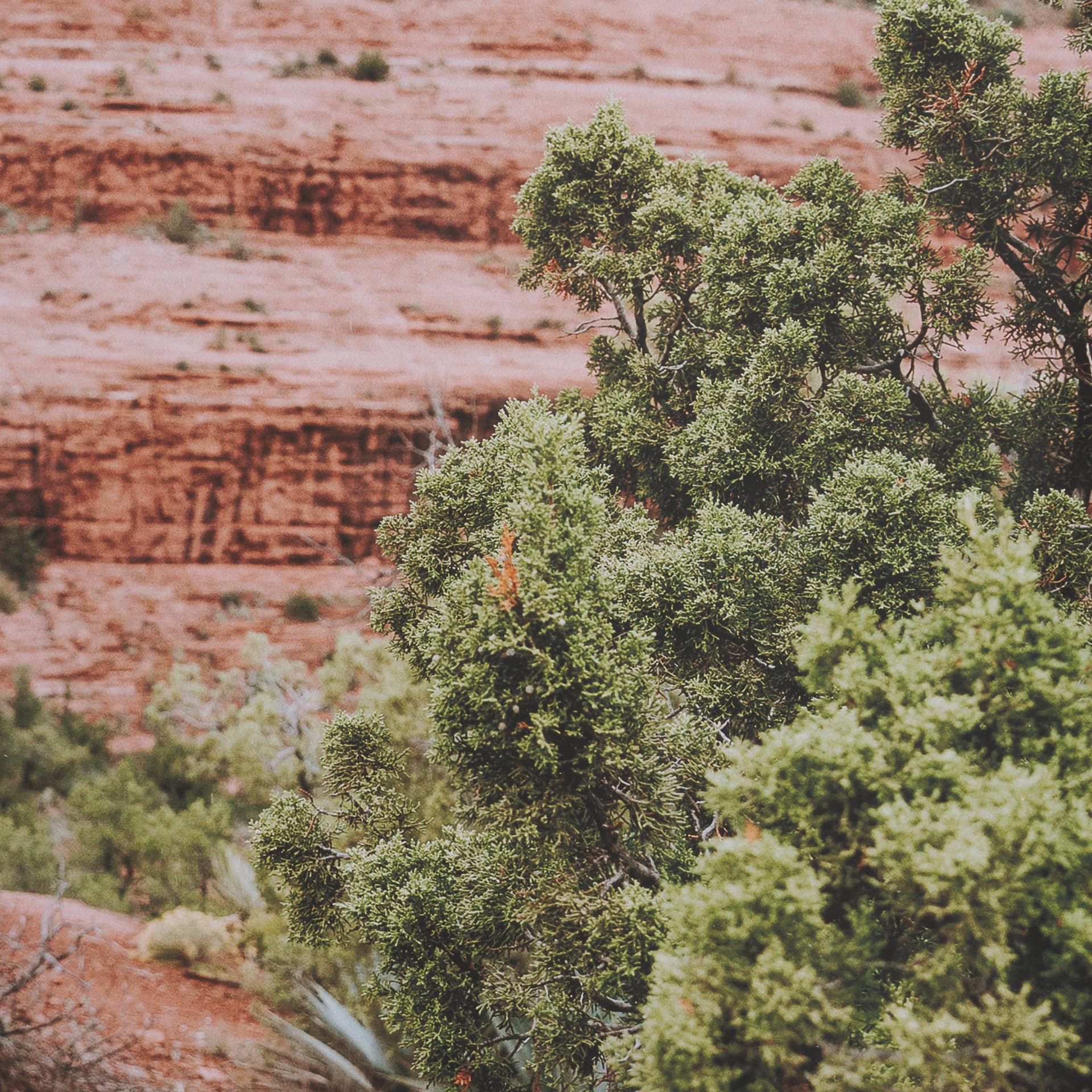 Sandstone Layers by Kelly Frere FramedPhoto Print Matted under Glass — product photograph