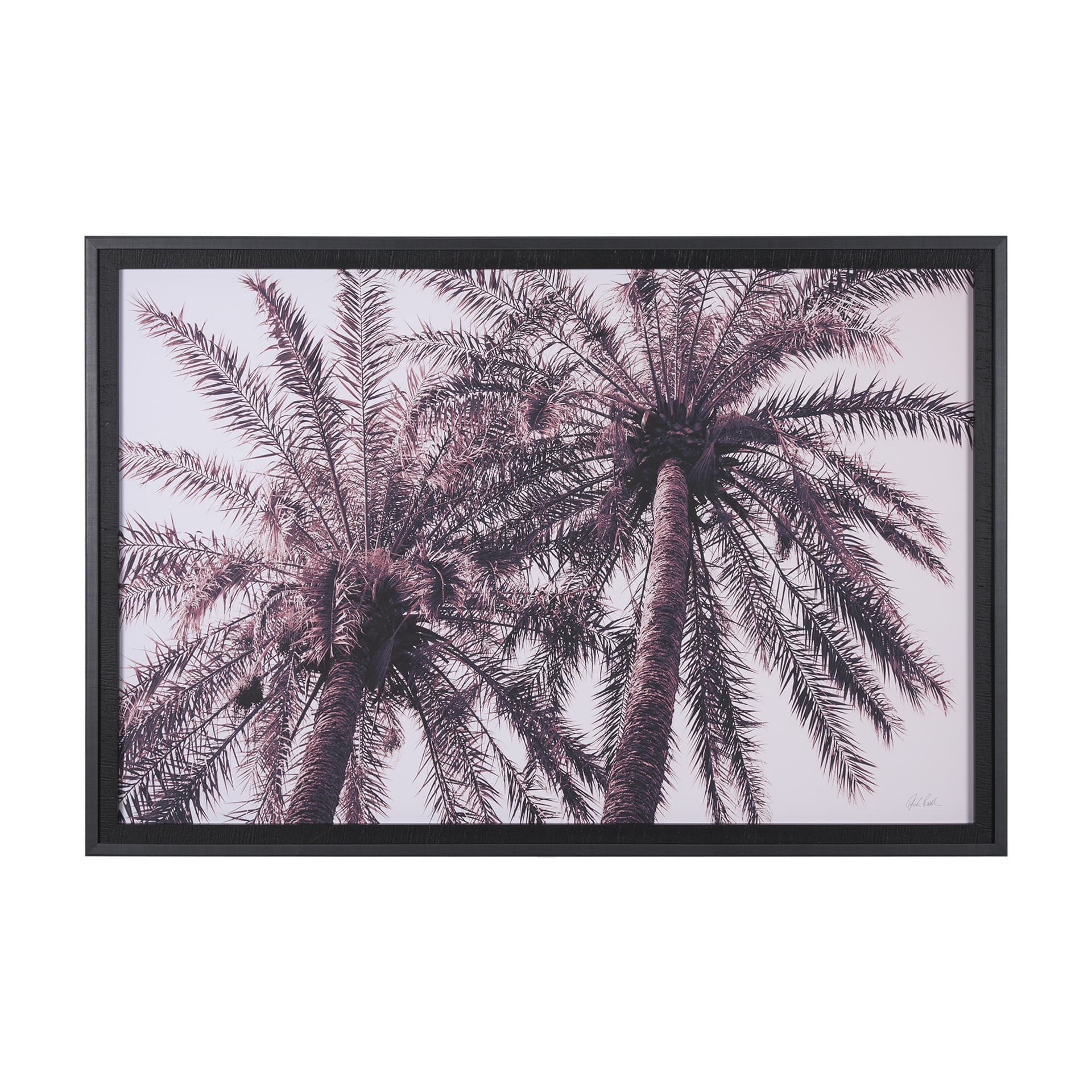 Pink Palms Horizontal by Deborah Revell a Framed Photo Art Print Matted under Glass — product photograph