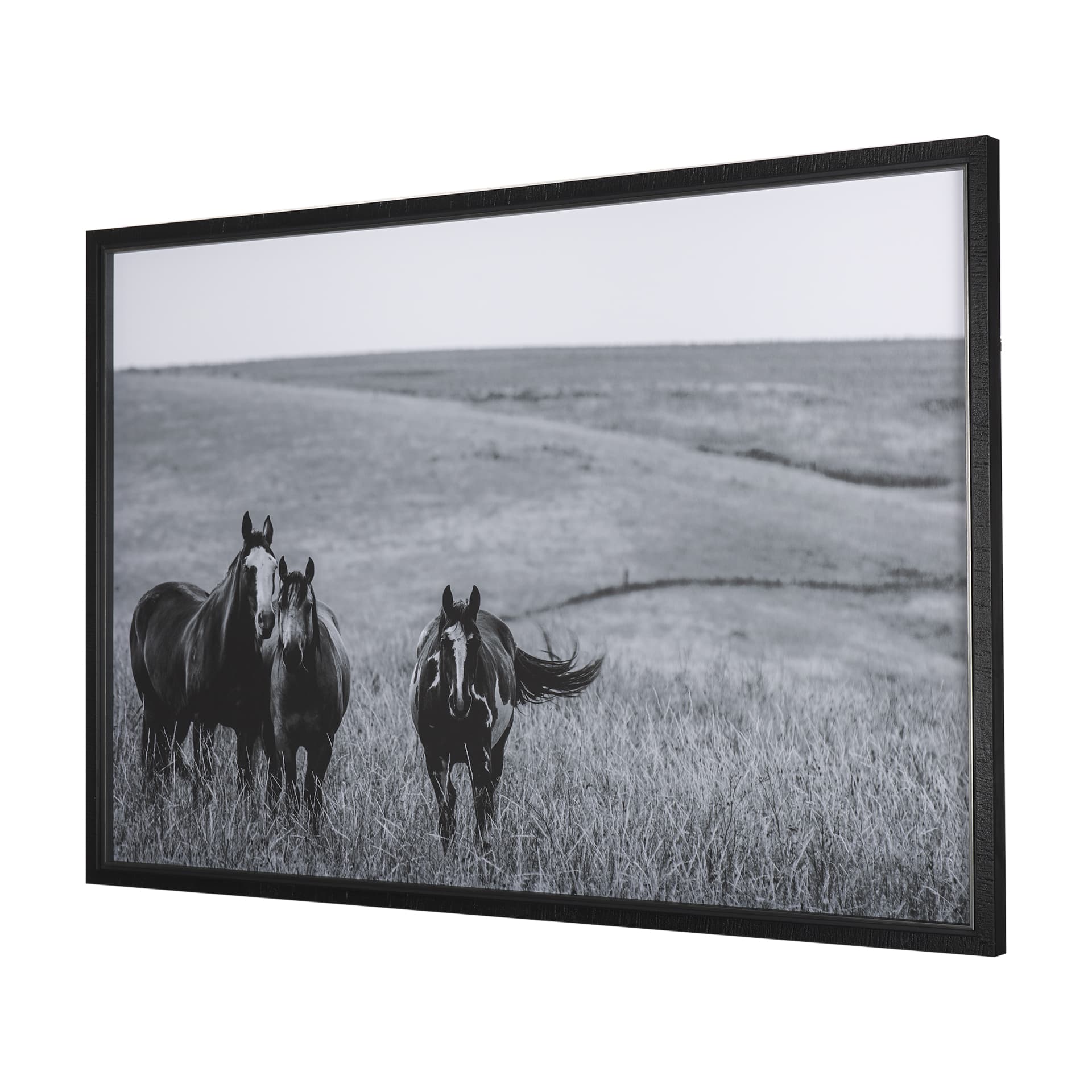 Montana Moves by Mercana Studio a Framed Photo Art Print Matted under Glass — product photograph